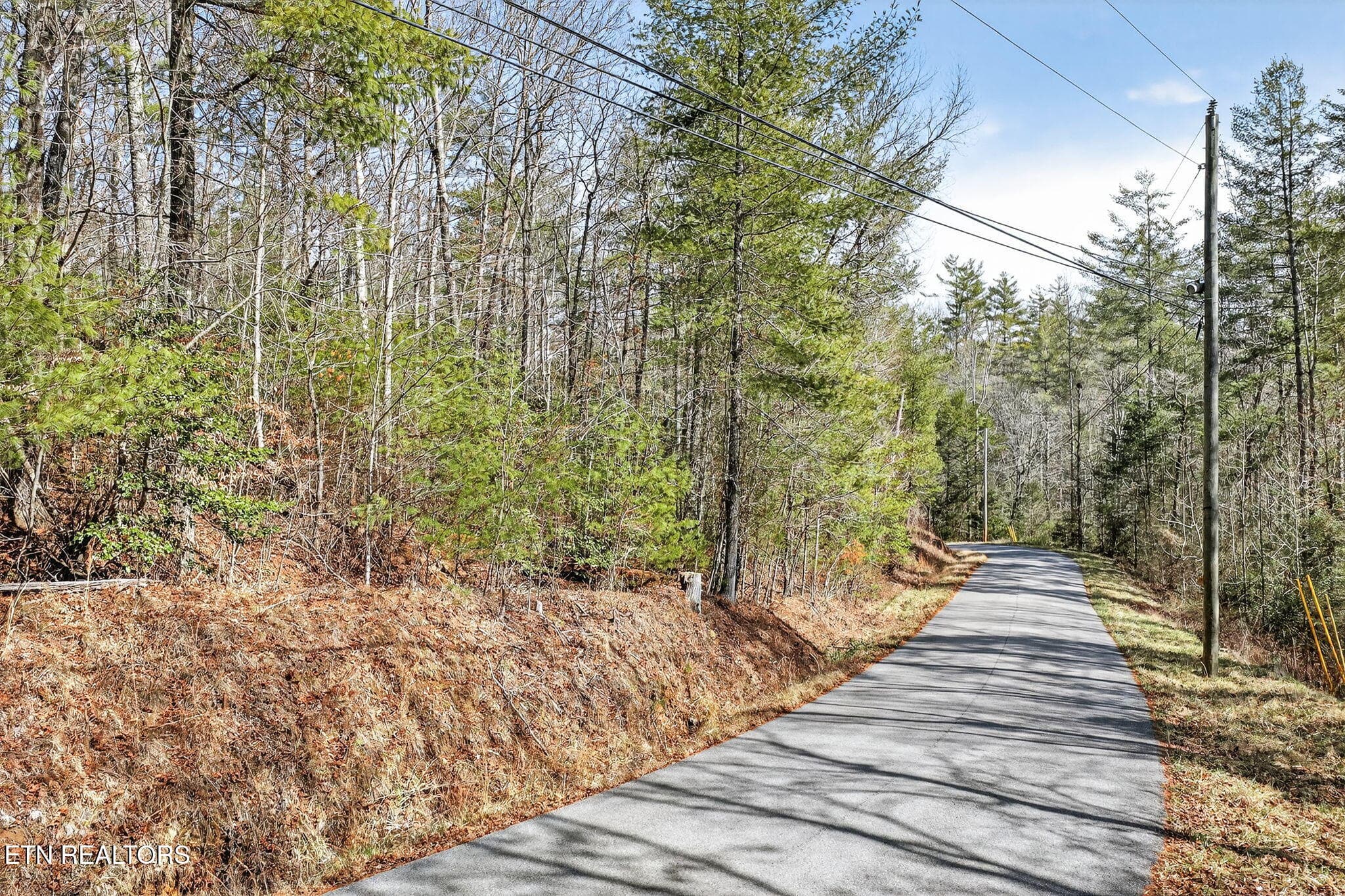 16-web-or-mls-Dogwood Grandview_046_TNPC - Dogwood Rd, Grandview, TN 37337