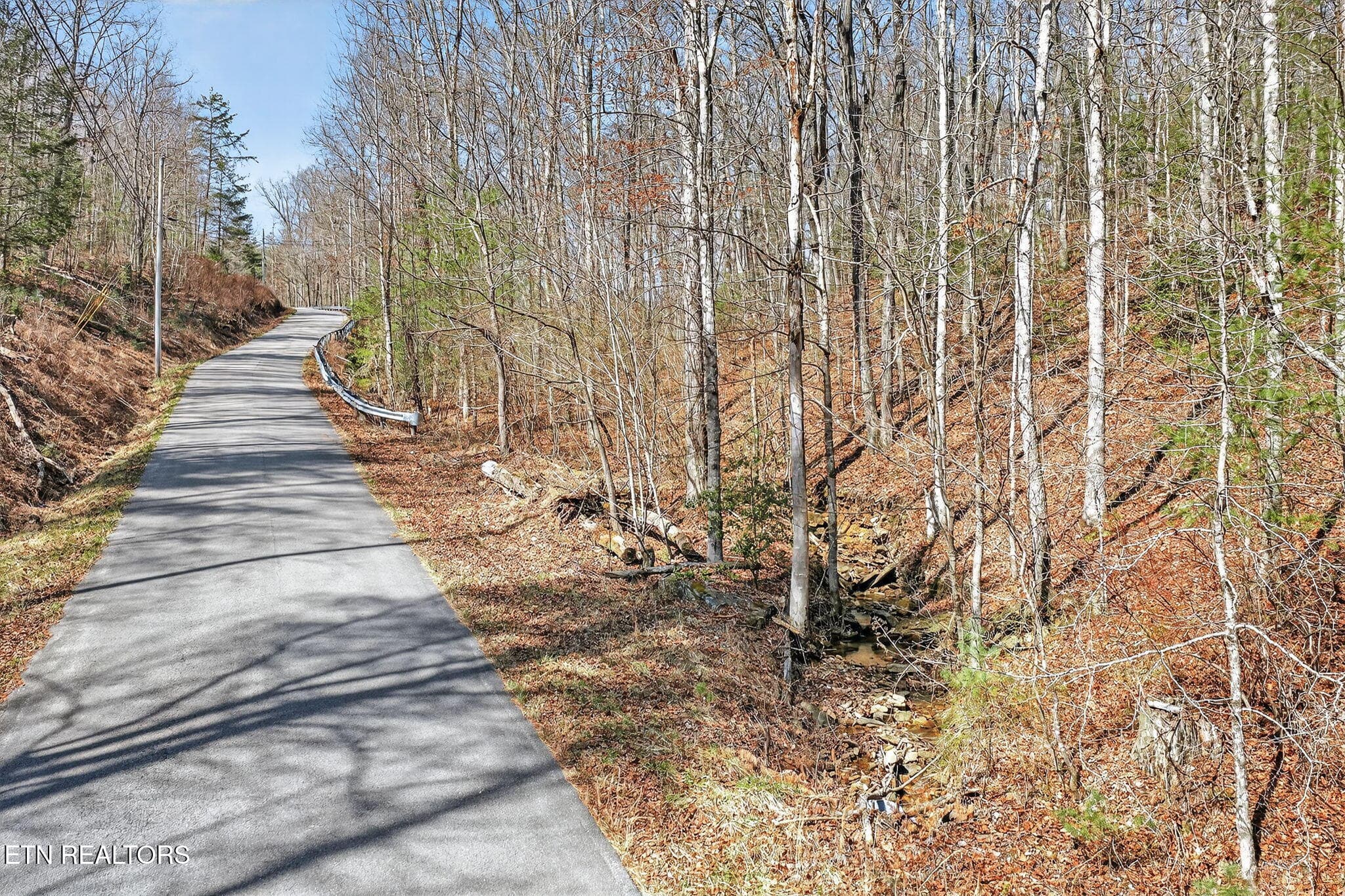 17-web-or-mls-Dogwood Grandview_049_TNPC - Dogwood Rd, Grandview, TN 37337