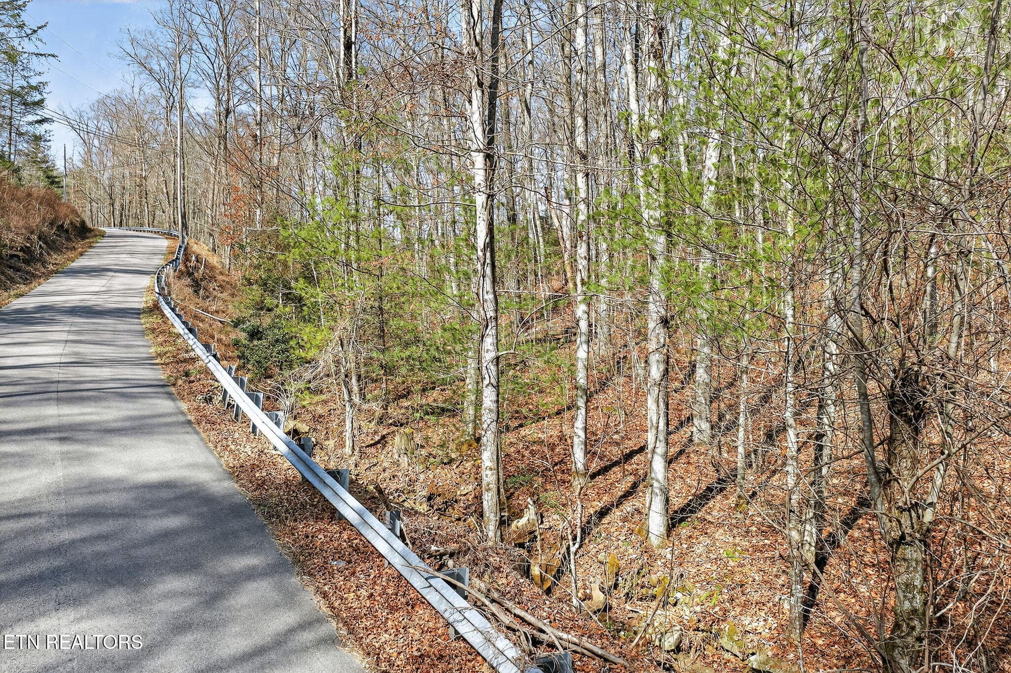 18-web-or-mls-Dogwood Grandview_052_TNPC - Dogwood Rd, Grandview, TN 37337
