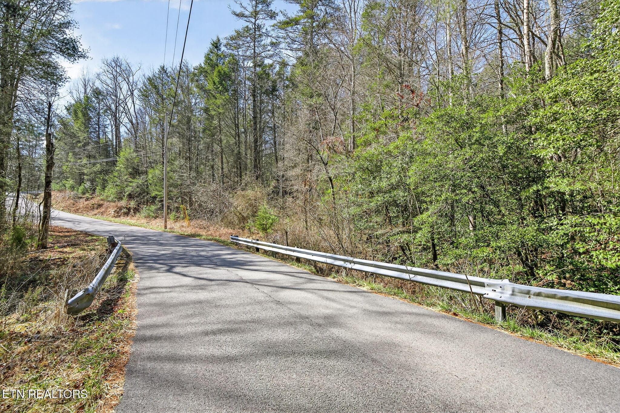 19-web-or-mls-Dogwood Grandview_057_TNPC - Dogwood Rd, Grandview, TN 37337