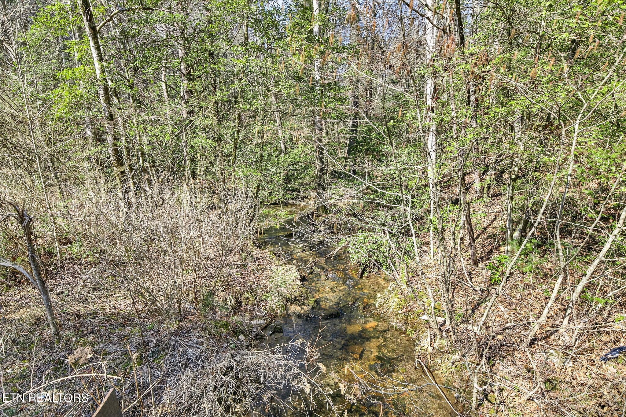Dogwood Rd, Grandview, TN 37337
