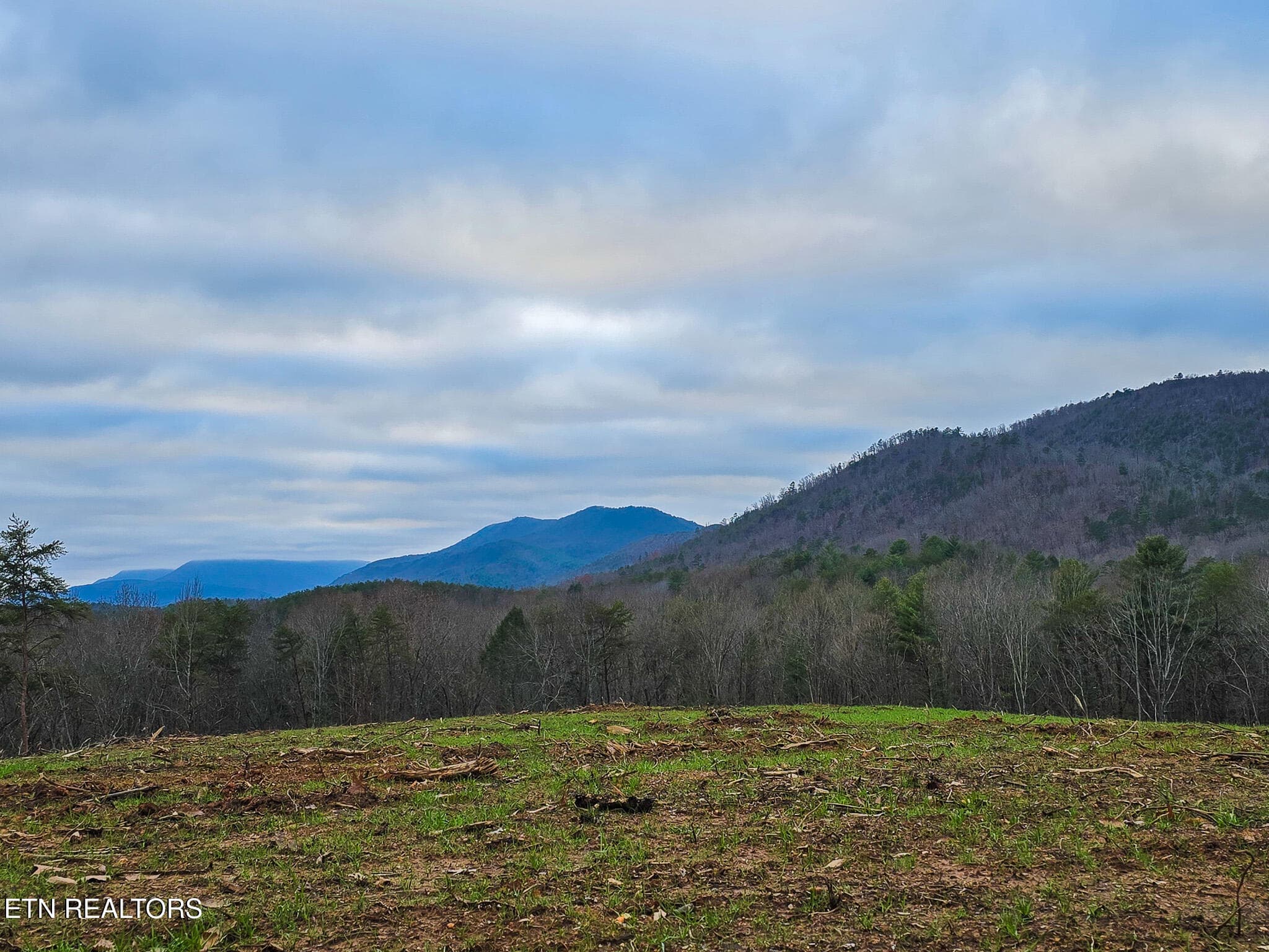 20241219_164224 - Creek Rd, Reliance, TN 37369