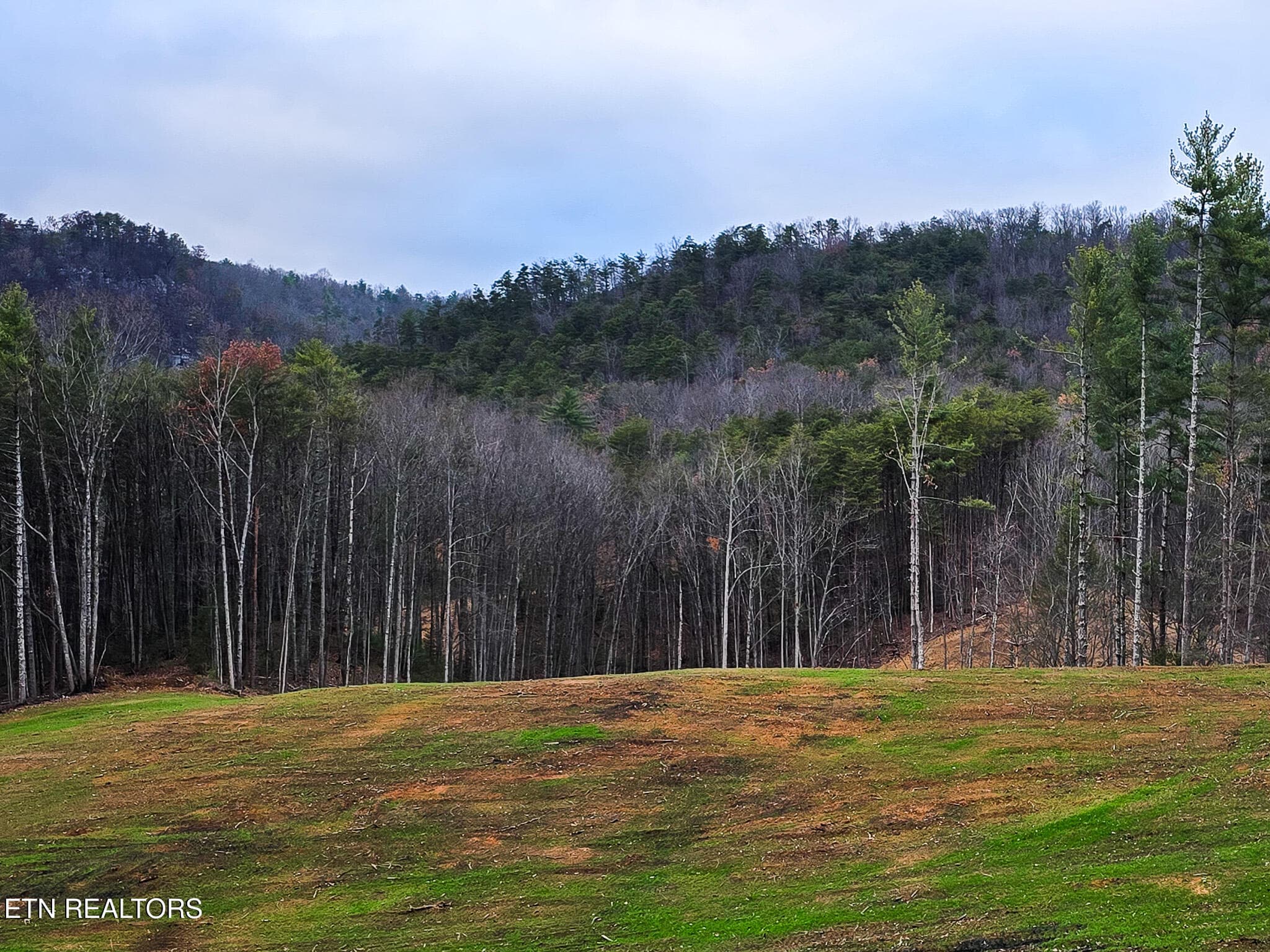 20241219_164303 - Creek Rd, Reliance, TN 37369