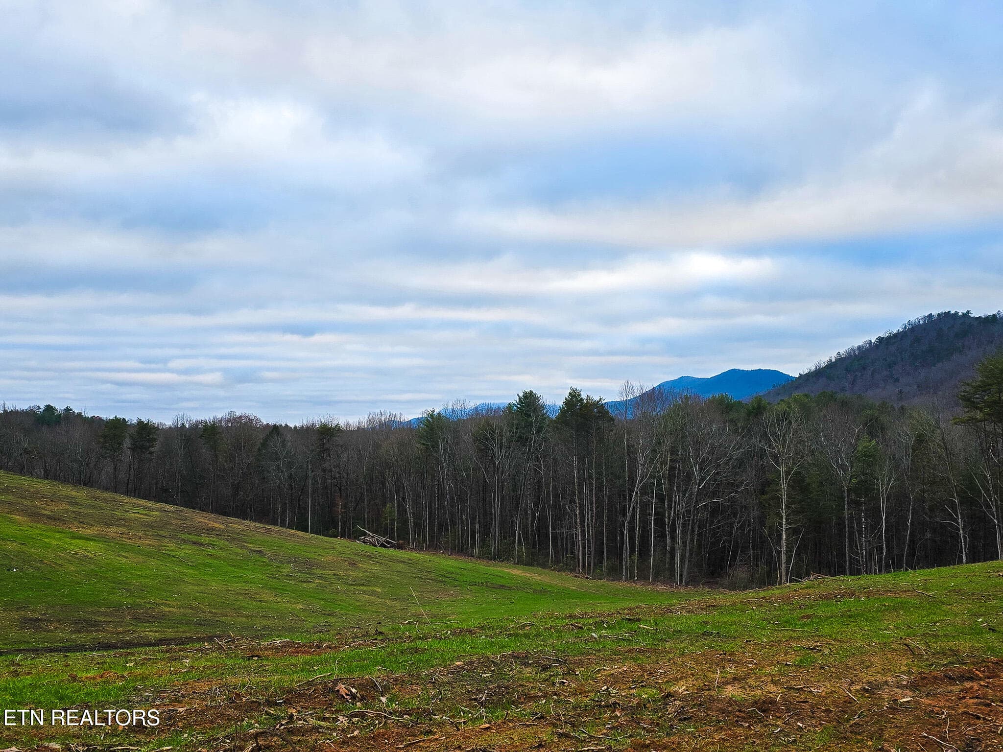 20241219_164526 - Creek Rd, Reliance, TN 37369