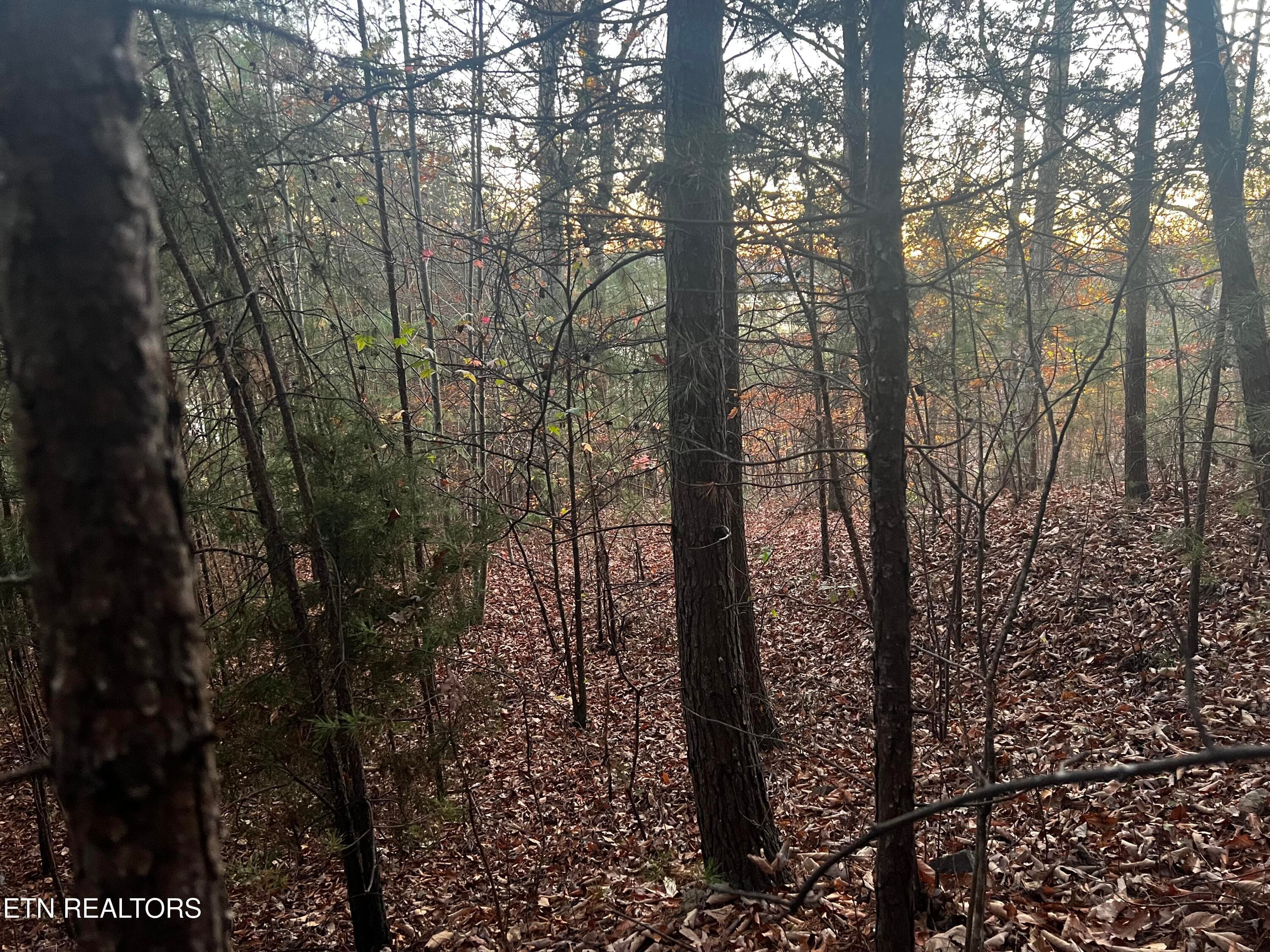 Lot 155 - Emerald Pt, Sharps Chapel, TN 37866