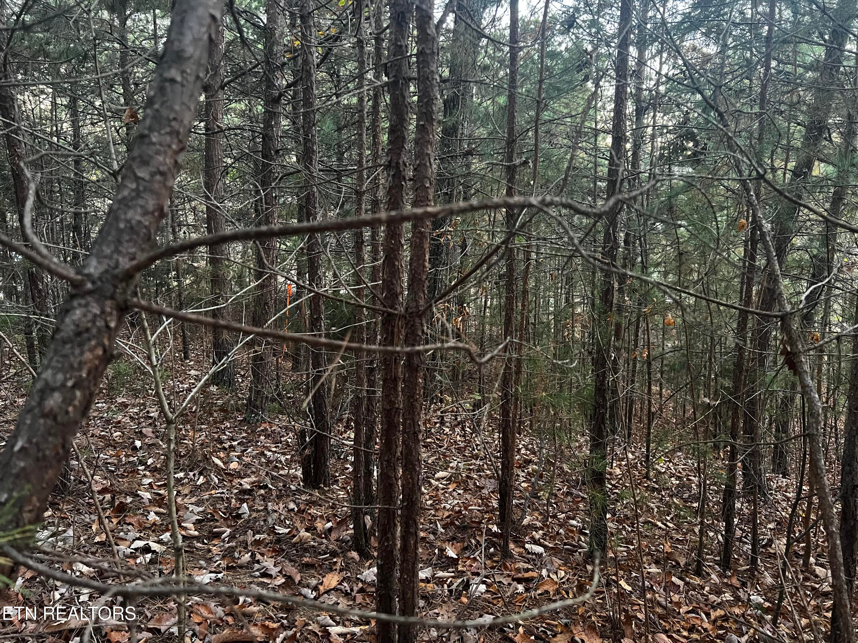 Lot 155 - Emerald Pt, Sharps Chapel, TN 37866