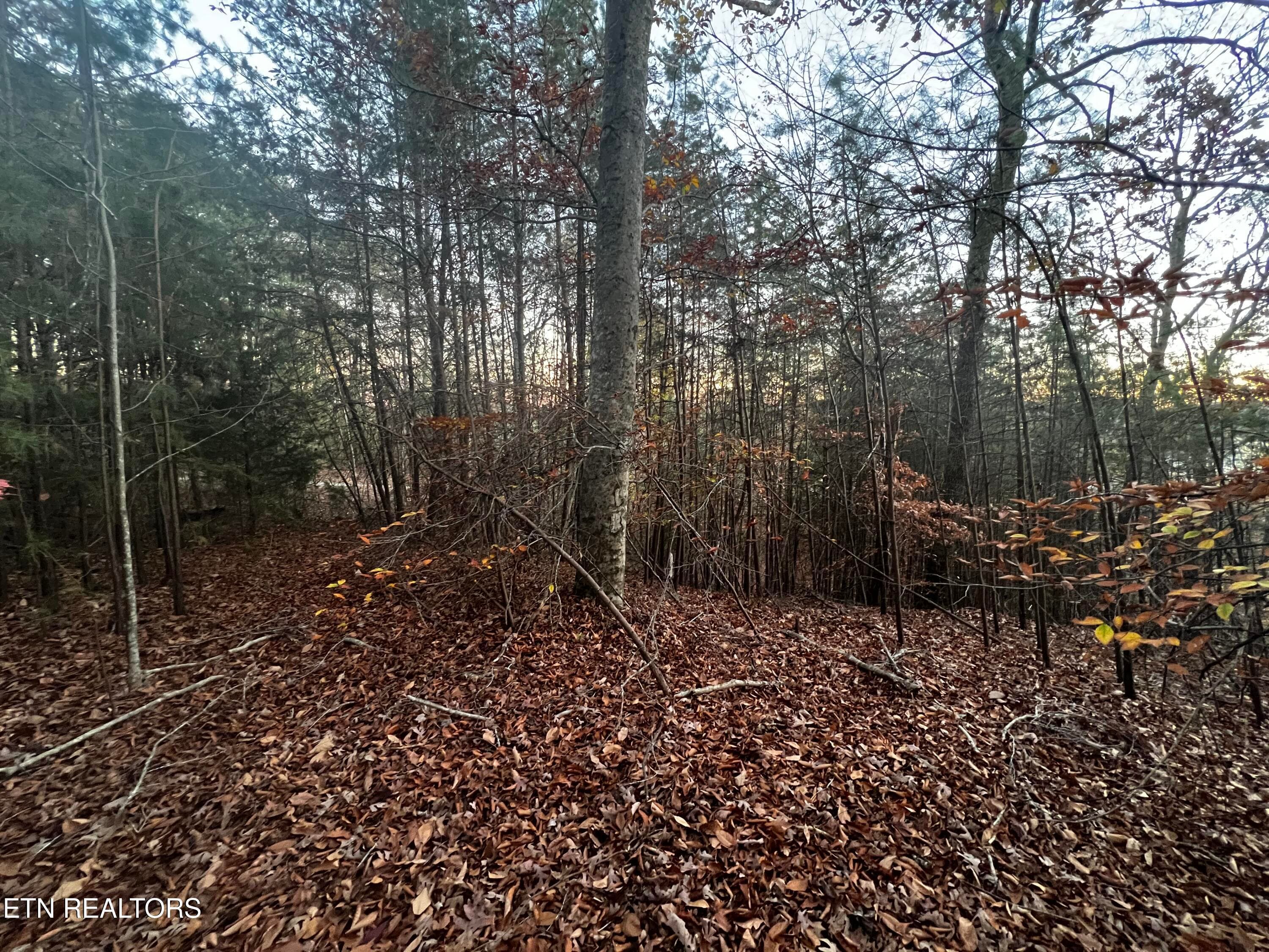 Lot 155 - Emerald Pt, Sharps Chapel, TN 37866