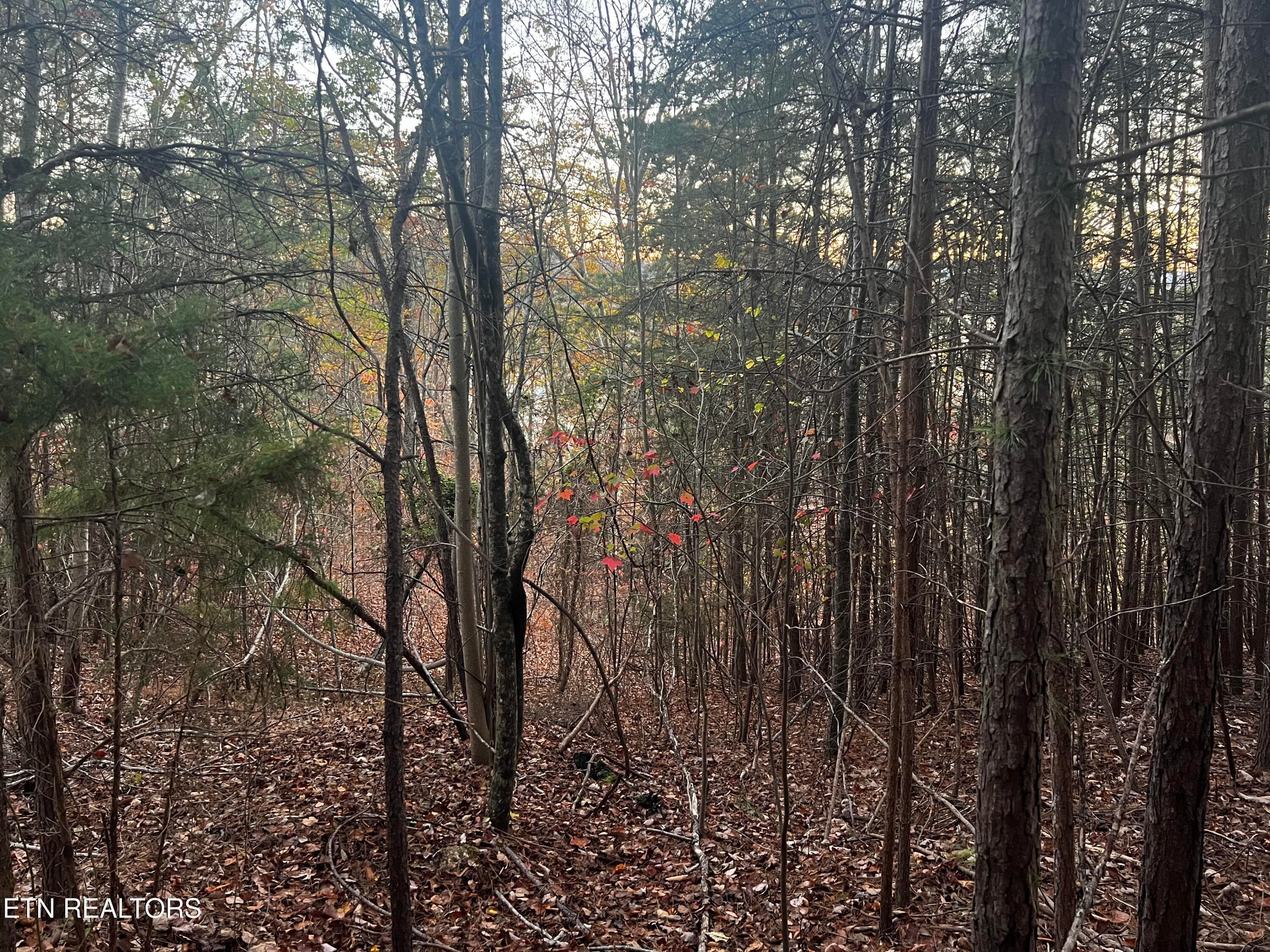Lot 155 - Emerald Pt, Sharps Chapel, TN 37866