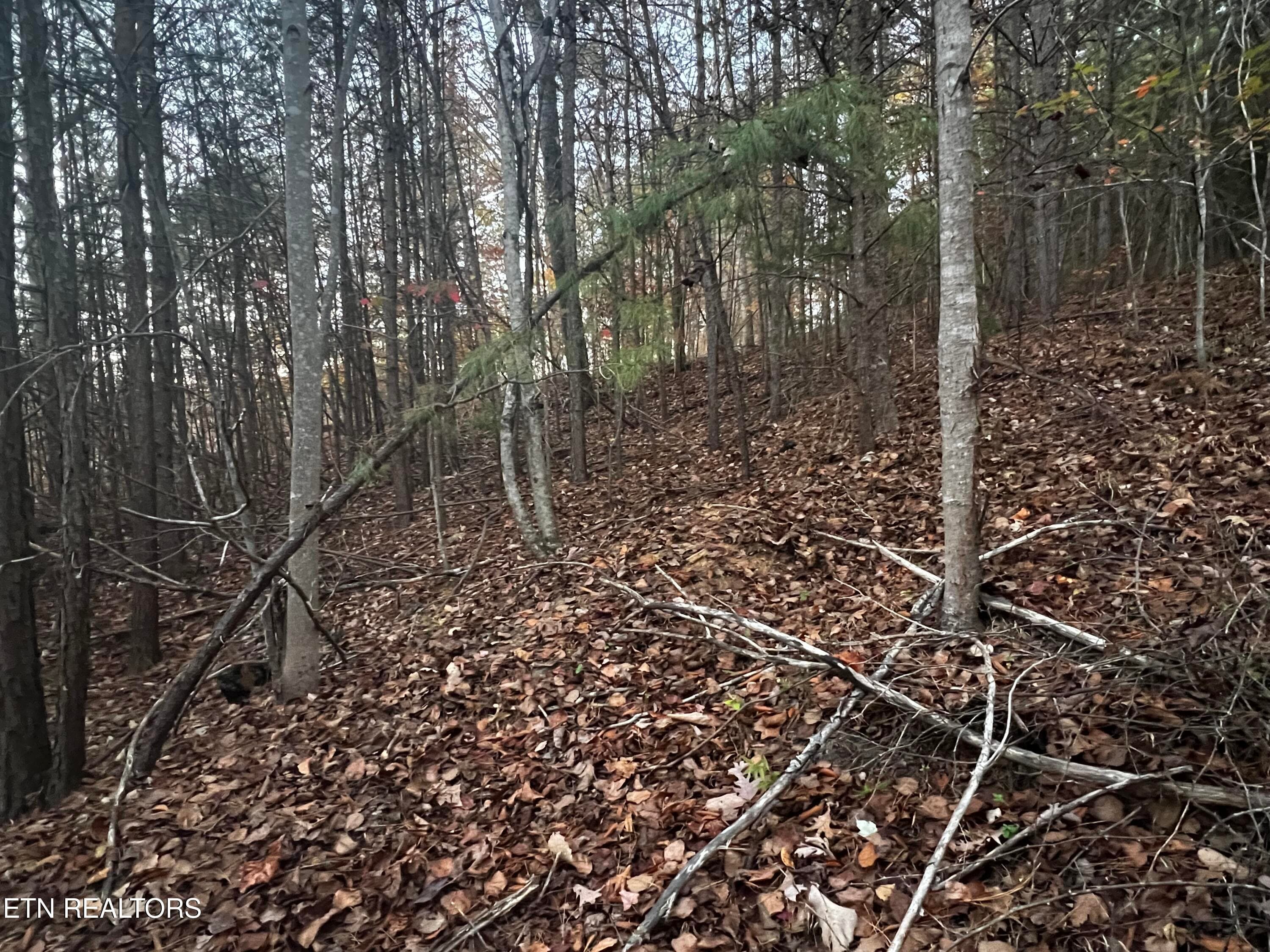 Lot 155 - Emerald Pt, Sharps Chapel, TN 37866