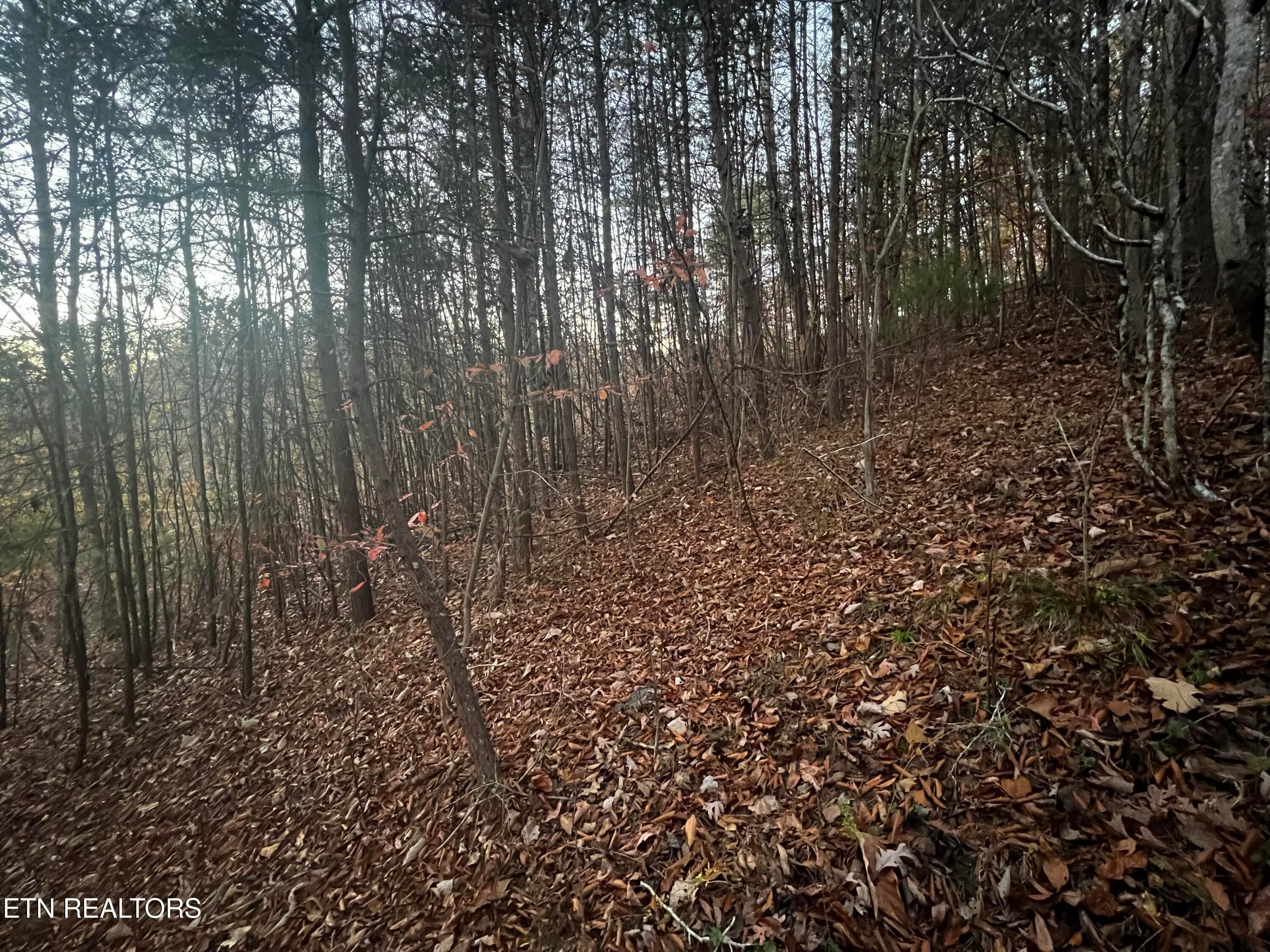 Lot 155 - Emerald Pt, Sharps Chapel, TN 37866