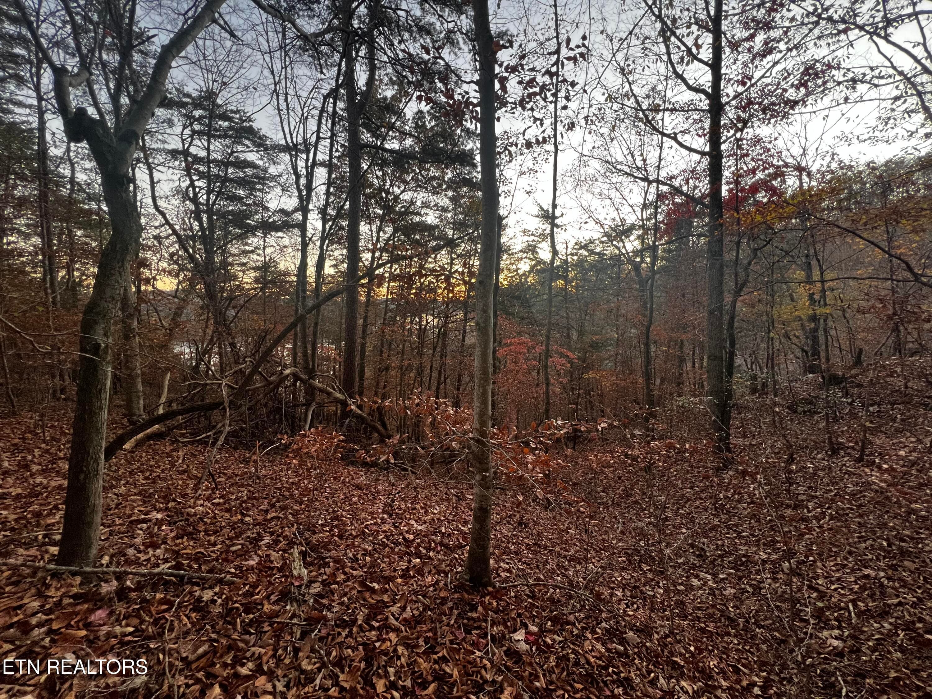 Lot 155 - Emerald Pt, Sharps Chapel, TN 37866