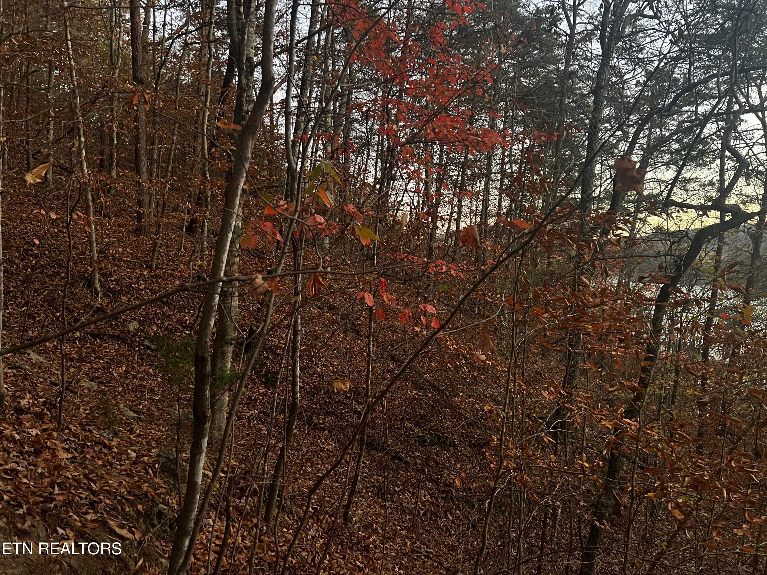Lot 155 - Emerald Pt, Sharps Chapel, TN 37866