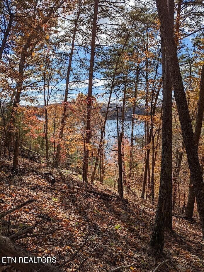 Lot 155 - Emerald Pt, Sharps Chapel, TN 37866
