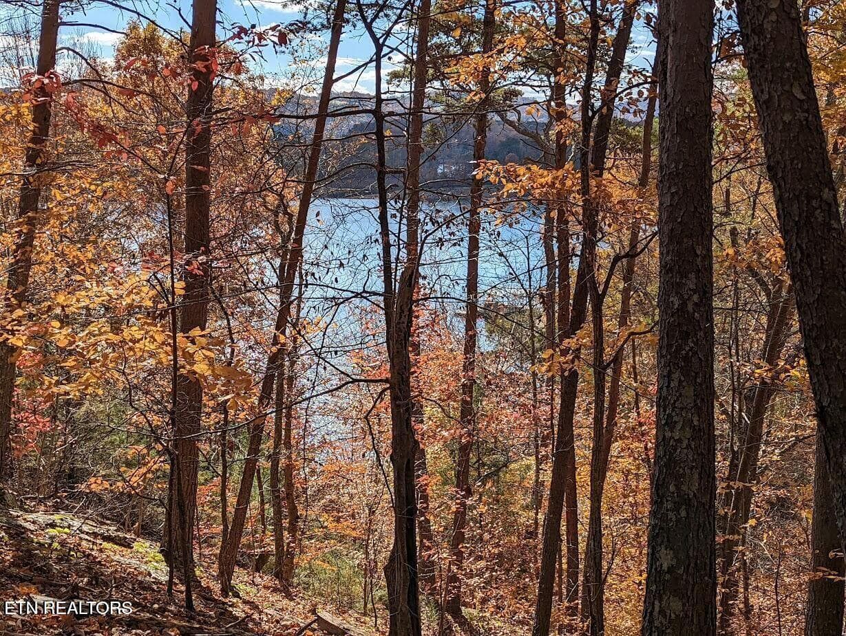 Lot 155 - Emerald Pt, Sharps Chapel, TN 37866