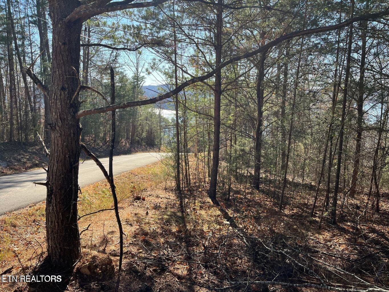 Lot 155 - Emerald Pt, Sharps Chapel, TN 37866
