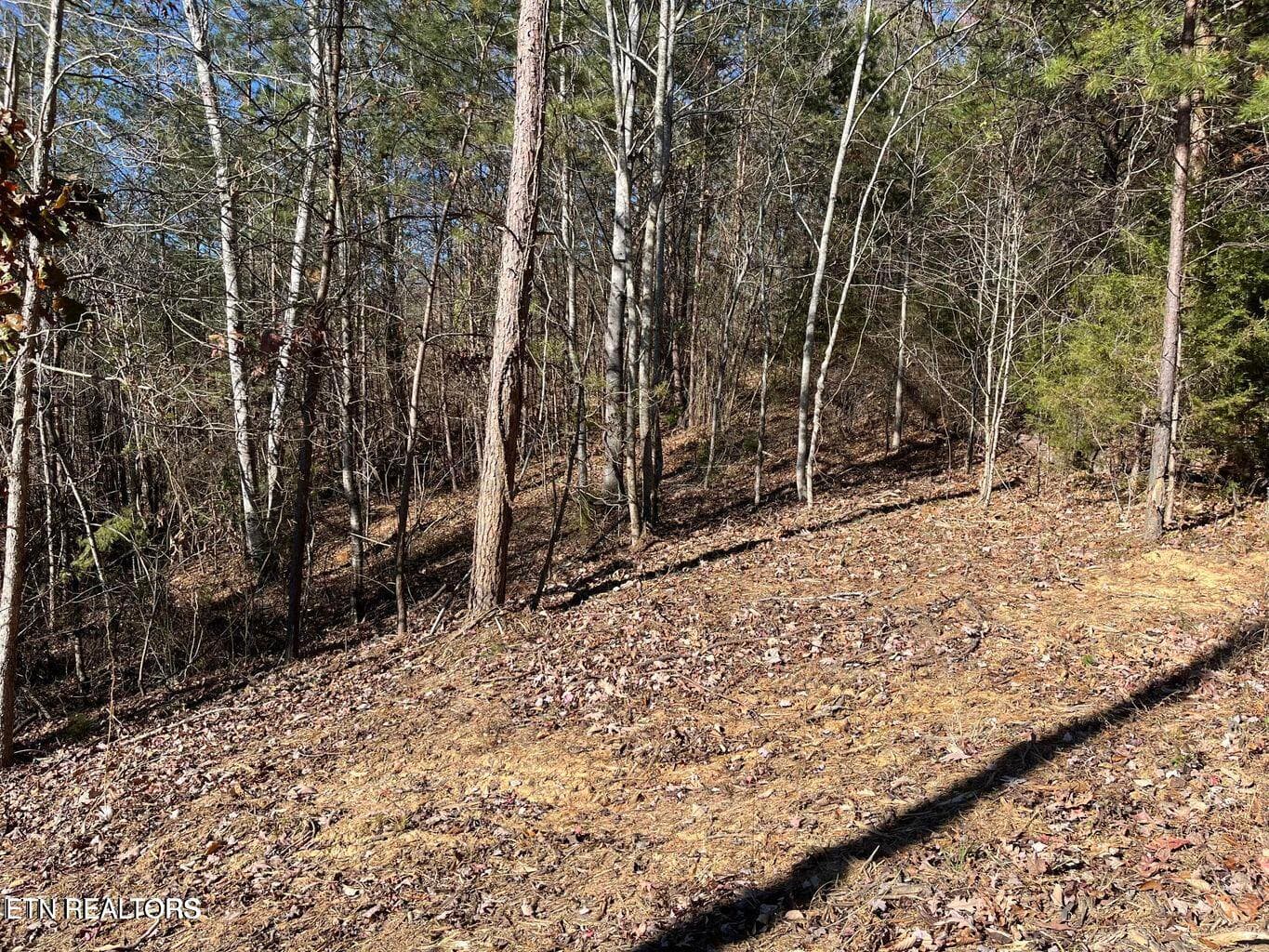 Lot 155 - Emerald Pt, Sharps Chapel, TN 37866