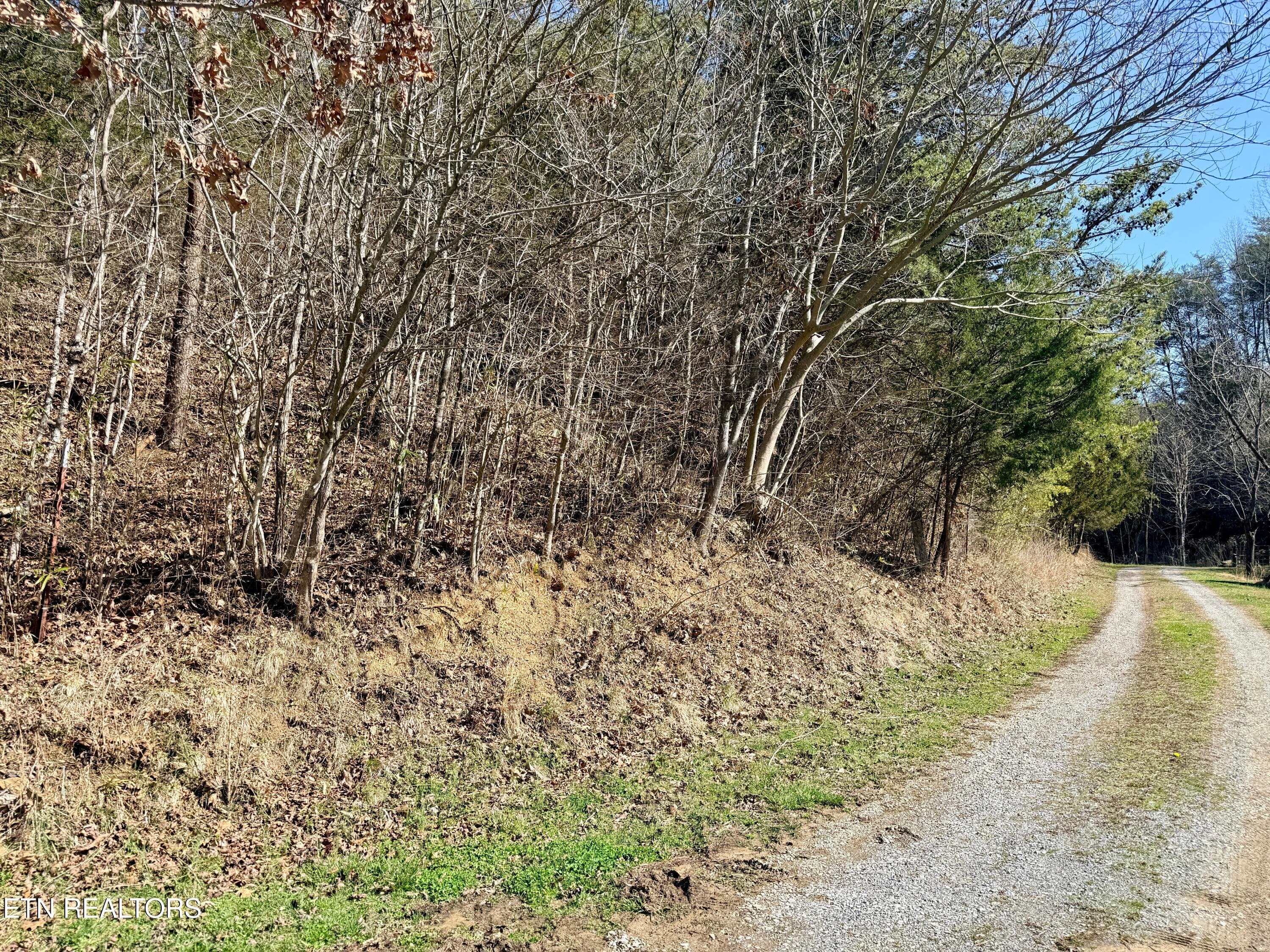 6D7F2F7A-3A39-4D76-9B5B-838832ACA25E_1_2 - Sugar Loaf Rd, Sevierville, TN 37876, Sevierville