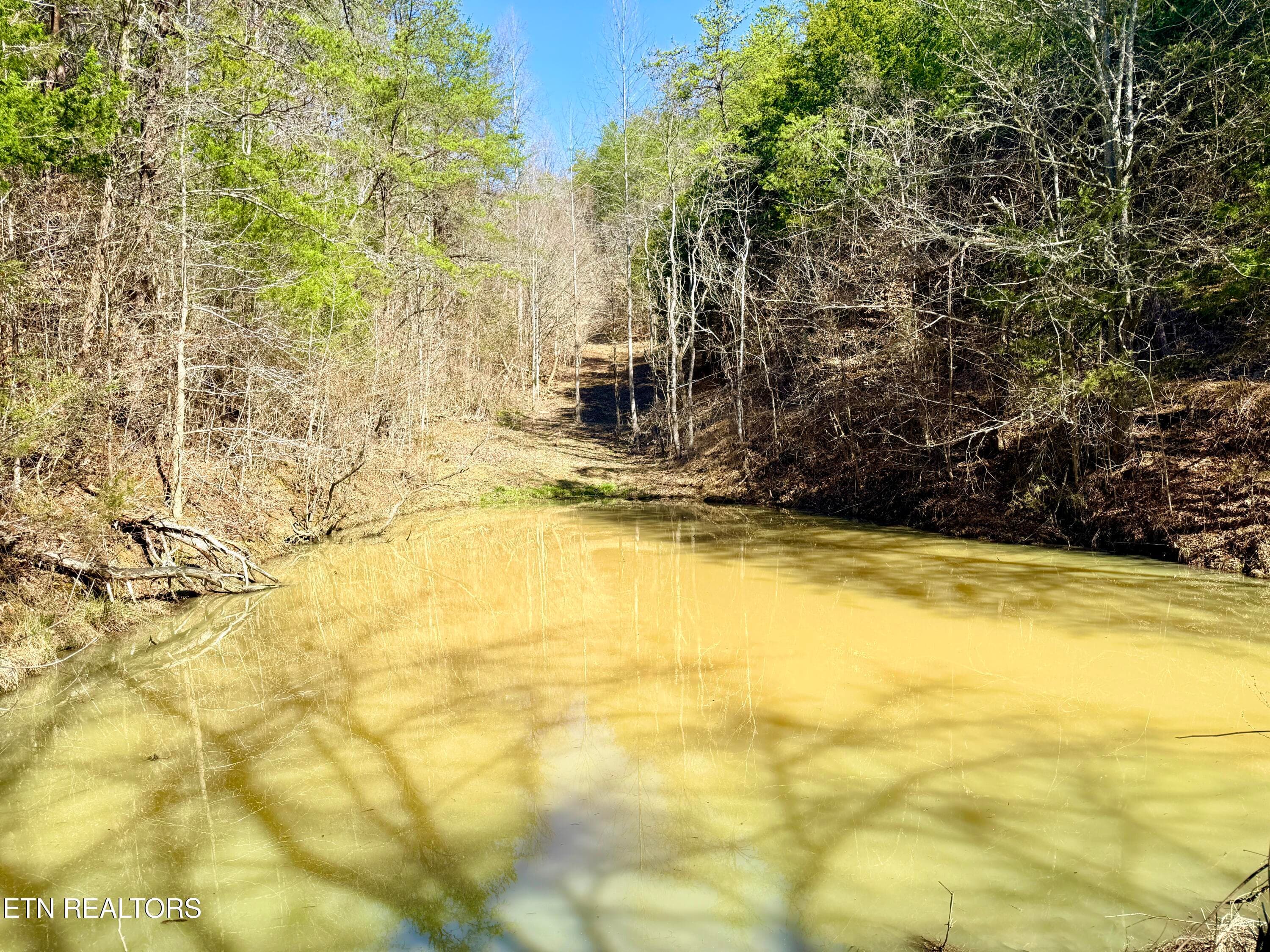 2BDD9B35-8913-45F1-82FC-7981AC114C48_1_2 - Sugar Loaf Rd, Sevierville, TN 37876, Sevierville