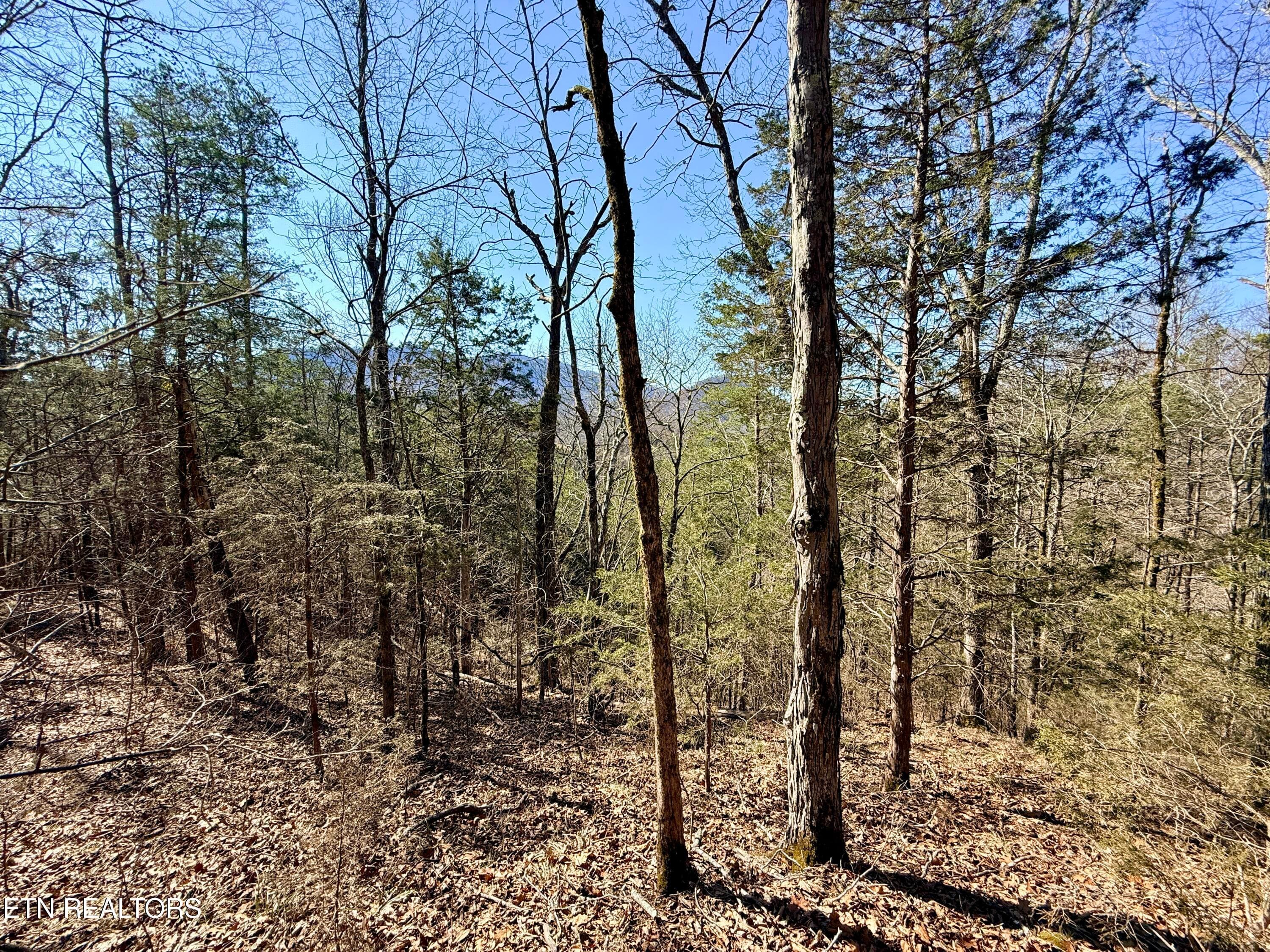 B27884F7-9043-480F-919A-A9F7DCC5F243_1_2 - Sugar Loaf Rd, Sevierville, TN 37876, Sevierville