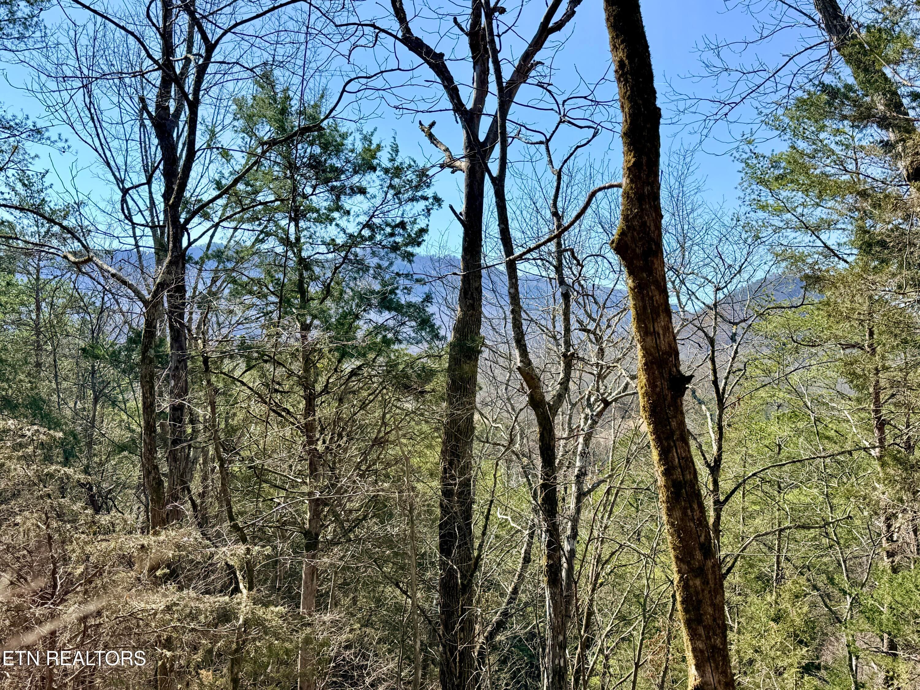 CC9D9B15-B803-4505-9AFE-5094E77F16C8_1_2 - Sugar Loaf Rd, Sevierville, TN 37876, Sevierville