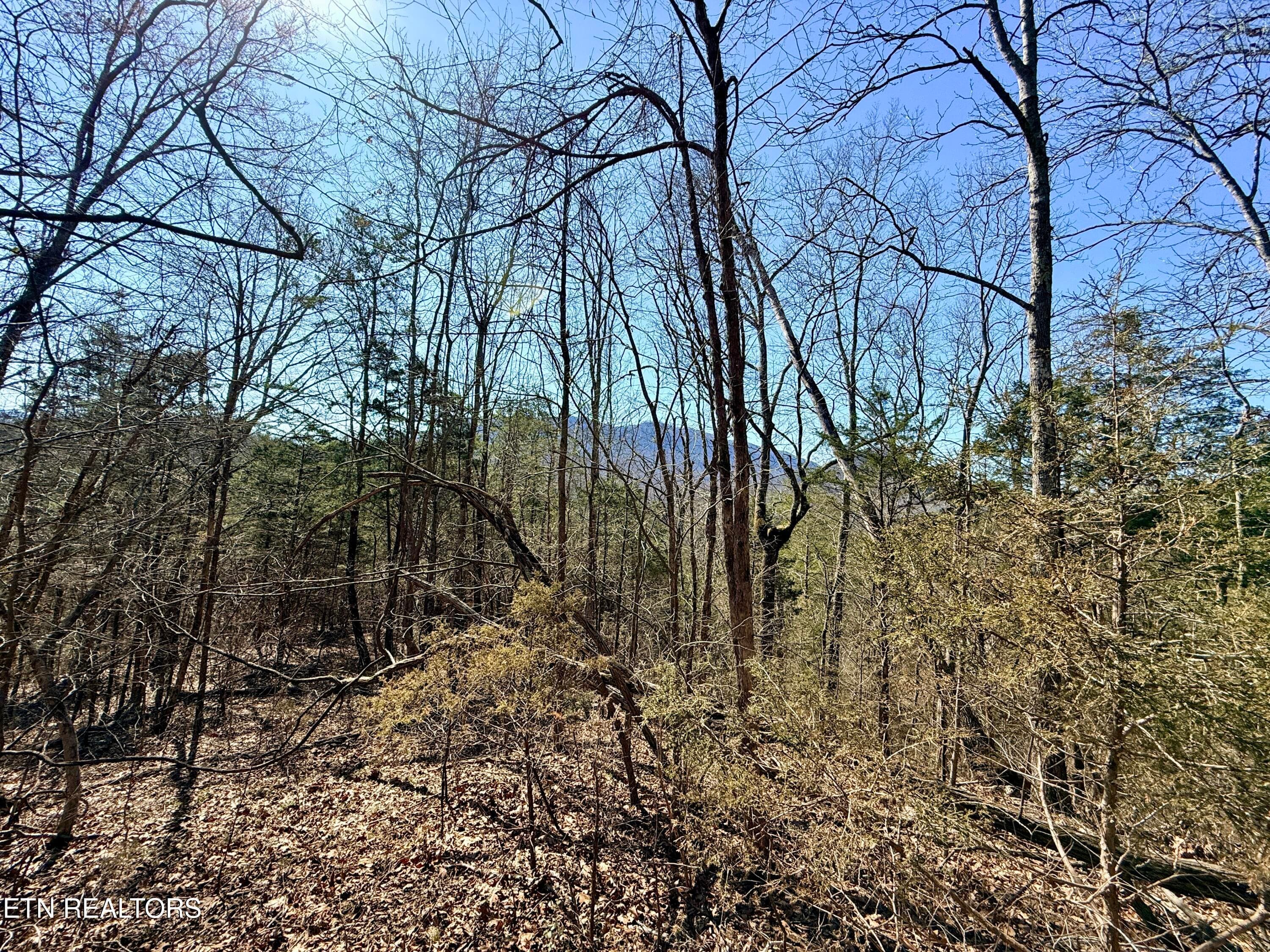 4097FC27-0C9F-417B-B436-B423184E8397_1_2 - Sugar Loaf Rd, Sevierville, TN 37876, Sevierville