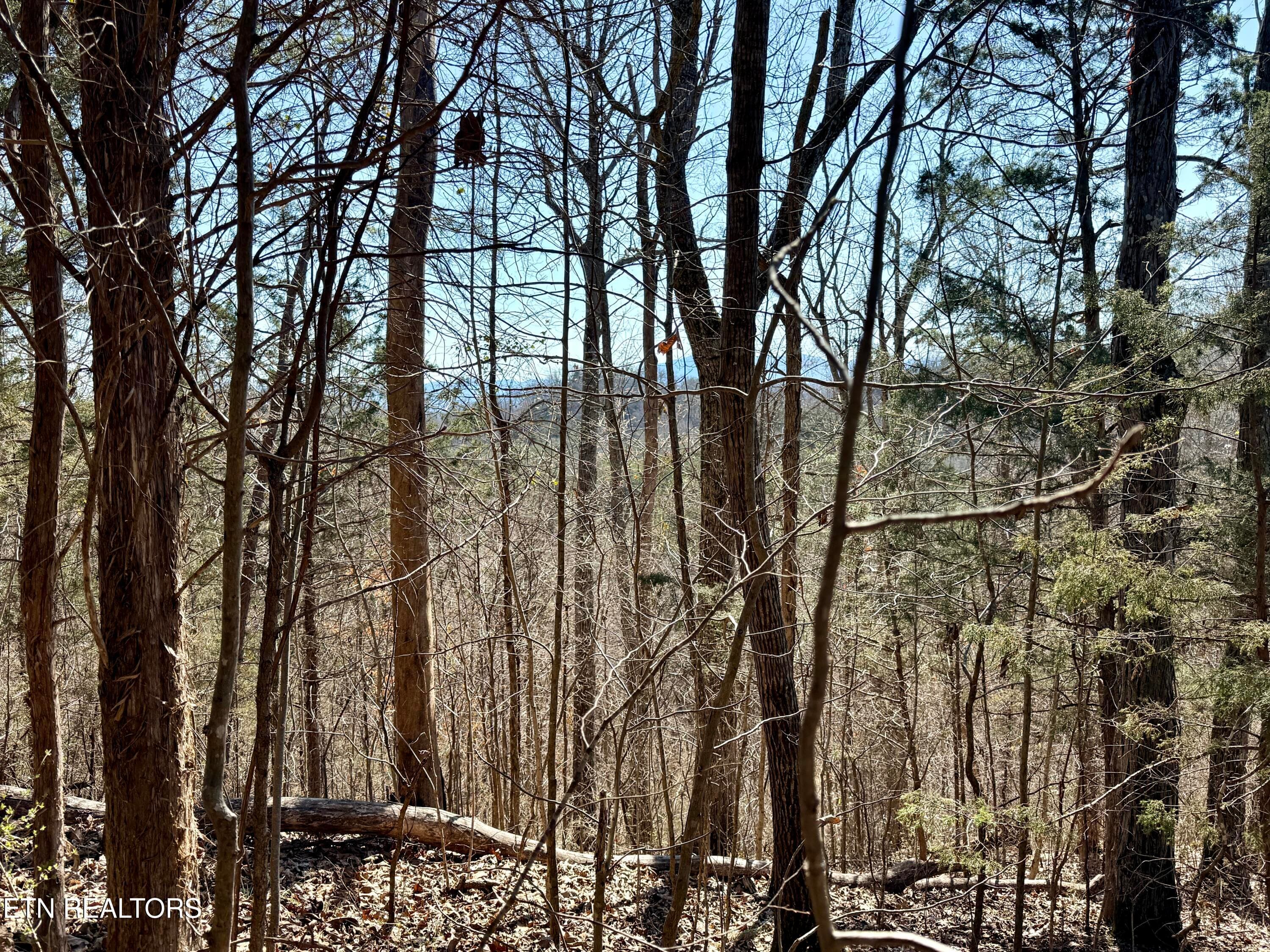 26942A2F-EA81-4D5A-AF84-94D9CD0AE72F_1_2 - Sugar Loaf Rd, Sevierville, TN 37876, Sevierville