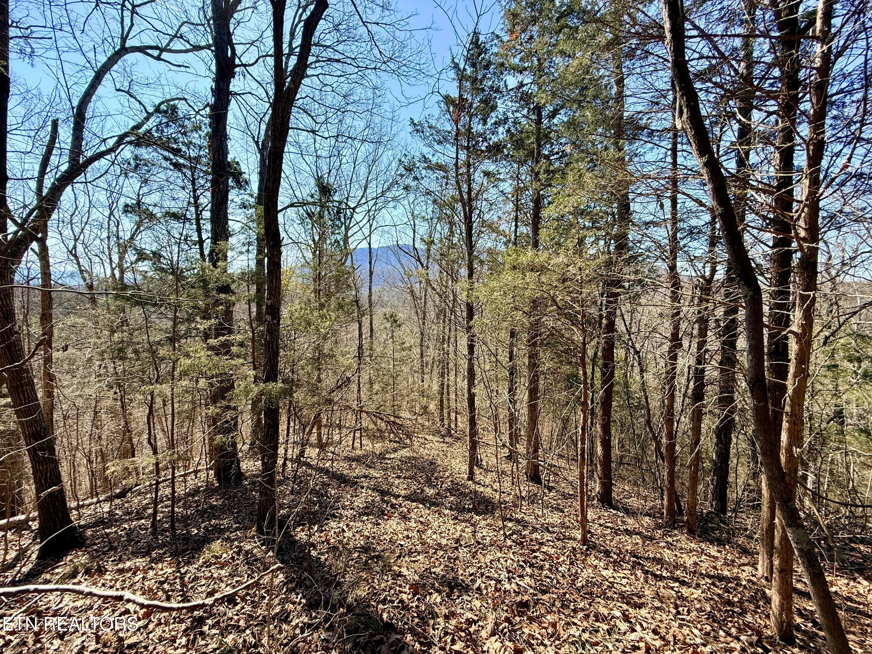 5003DC14-6F5B-47E8-89A8-EC6252D2463F_1_2 - Sugar Loaf Rd, Sevierville, TN 37876, Sevierville