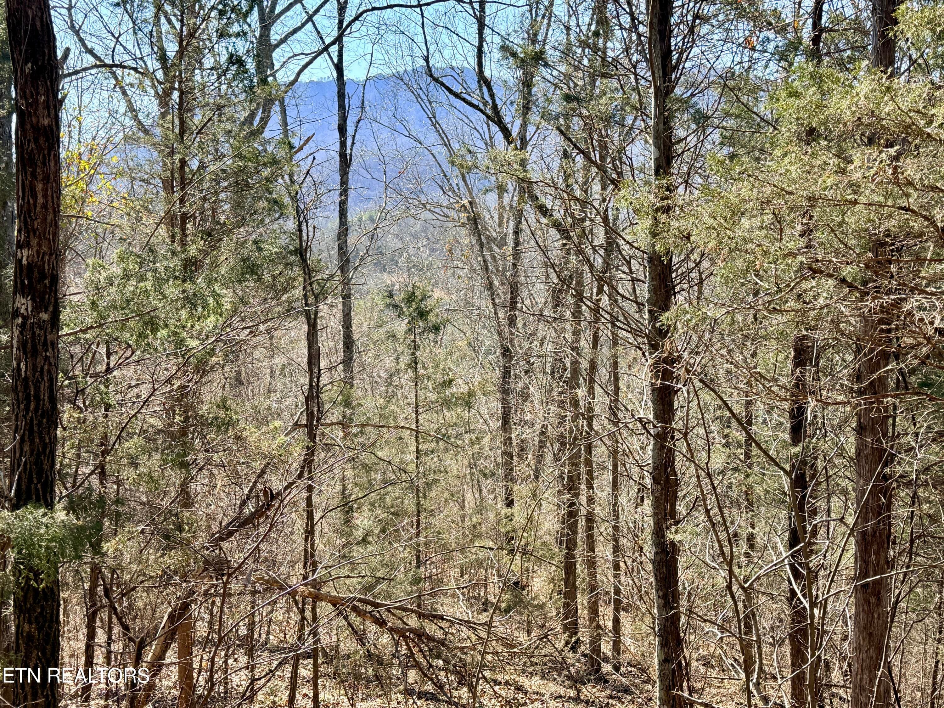 Mountain View on Right side of pond - Sugar Loaf Rd, Sevierville, TN 37876, Sevierville