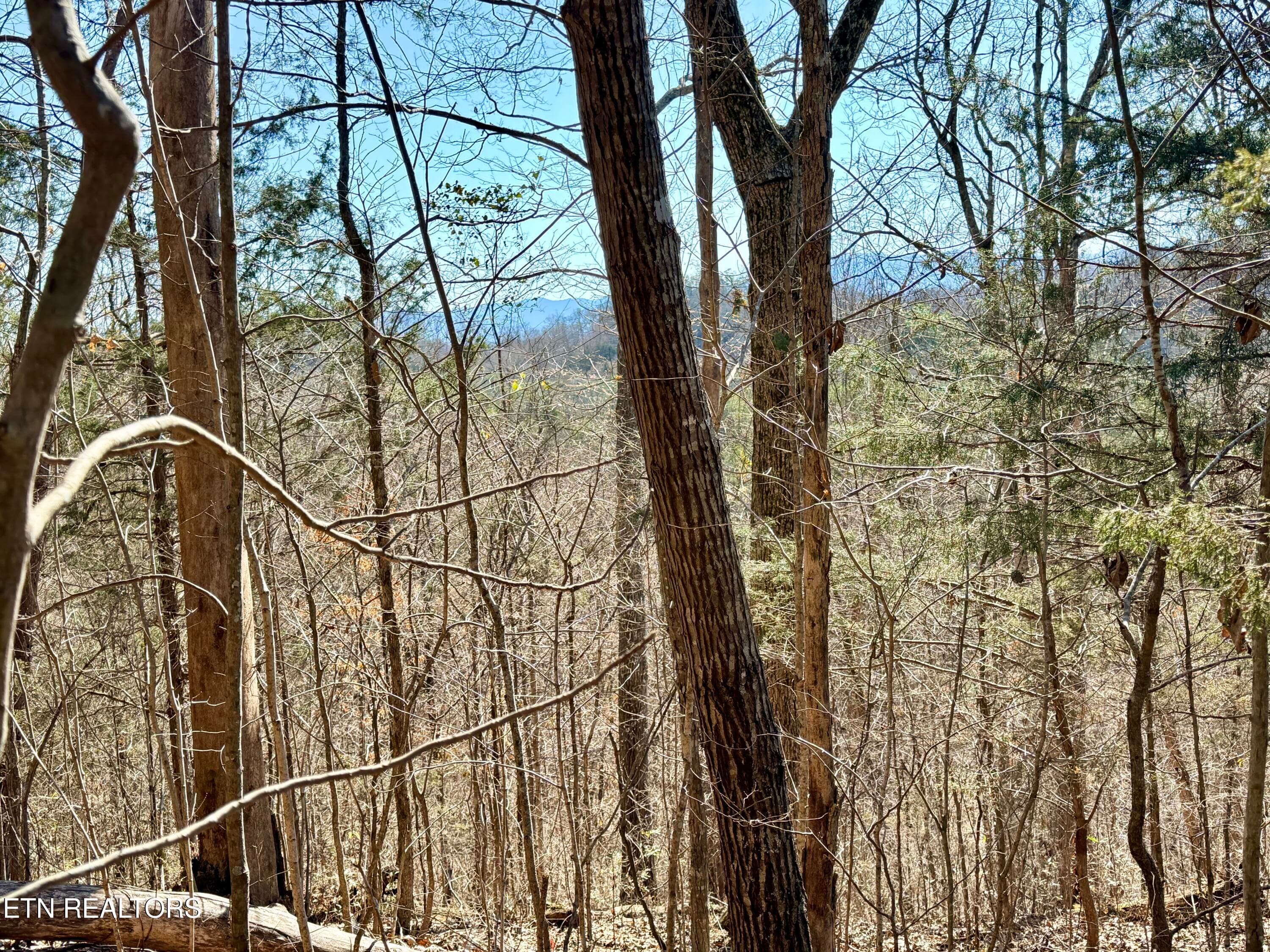 9BFA2B9C-6B2E-4700-9424-FCC7208A325C_1_2 - Sugar Loaf Rd, Sevierville, TN 37876, Sevierville