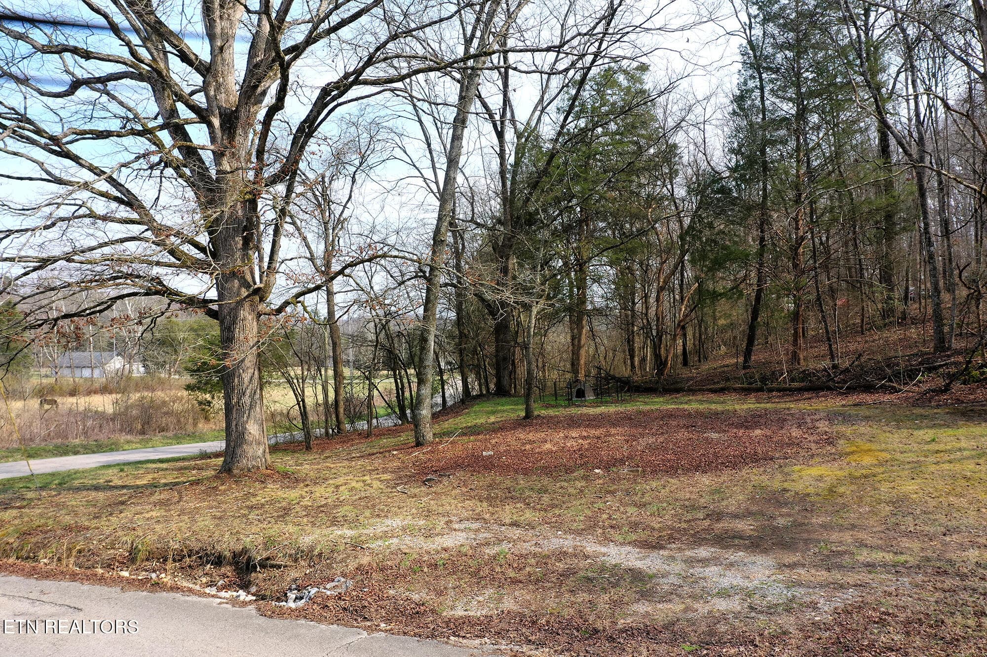 301 Gage N26_037 - 301 Gage Rd, Philadelphia, TN 37846