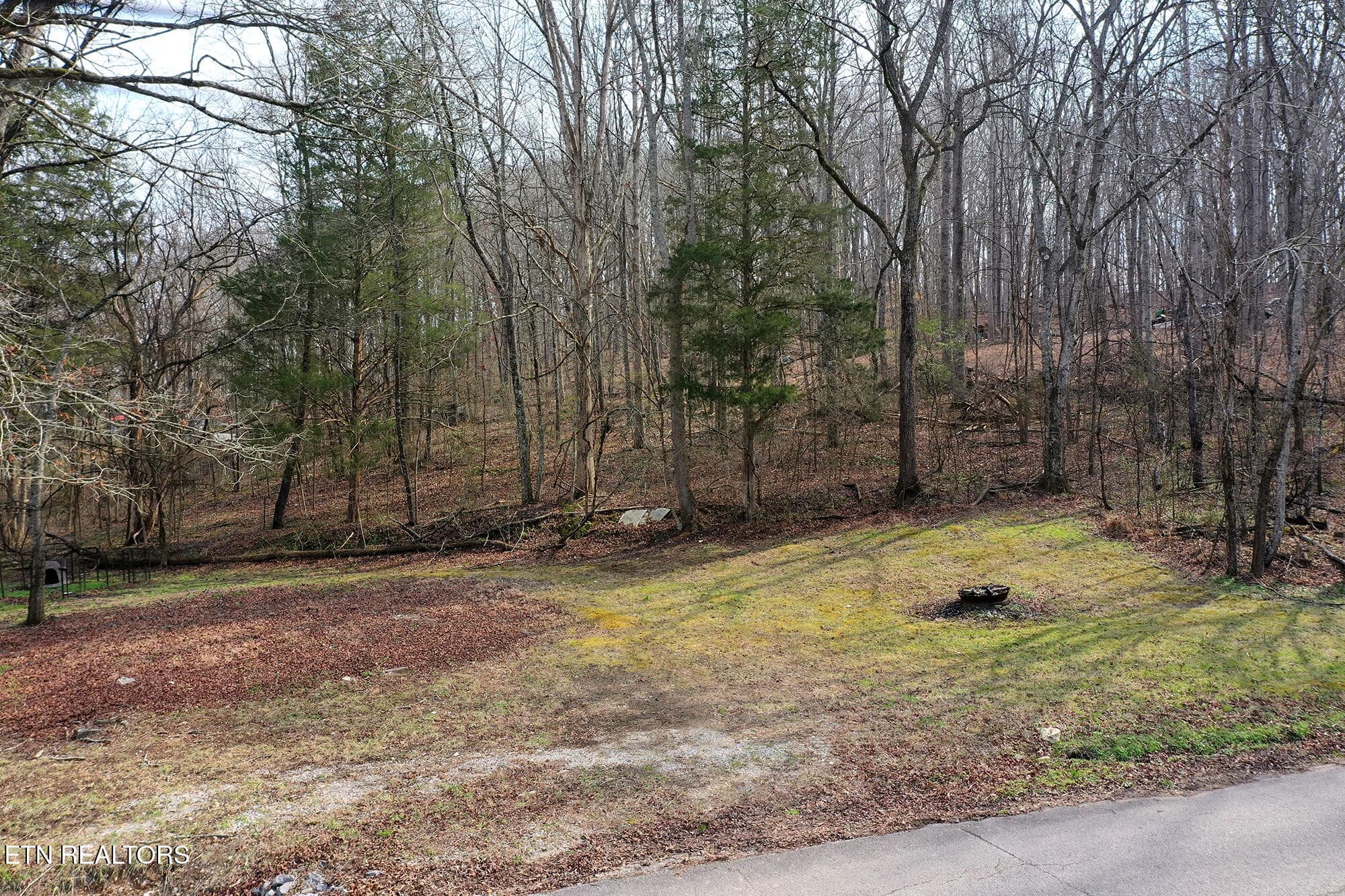 301 Gage N26_038 - 301 Gage Rd, Philadelphia, TN 37846