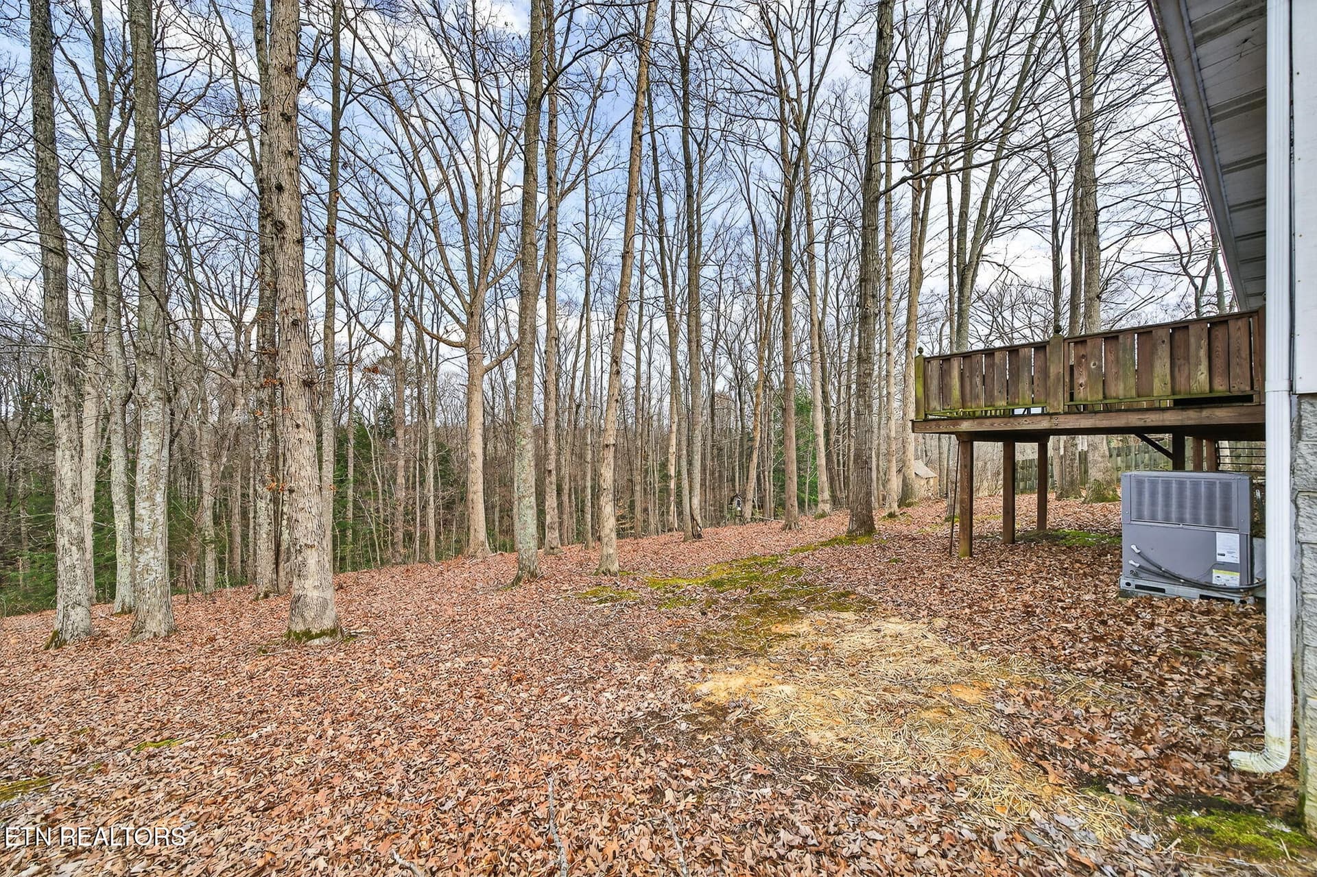 5-web-or-mls-1703 Perimeter Dr_022_TNPC - 1703 Perimeter Drive, Jamestown, TN 38556