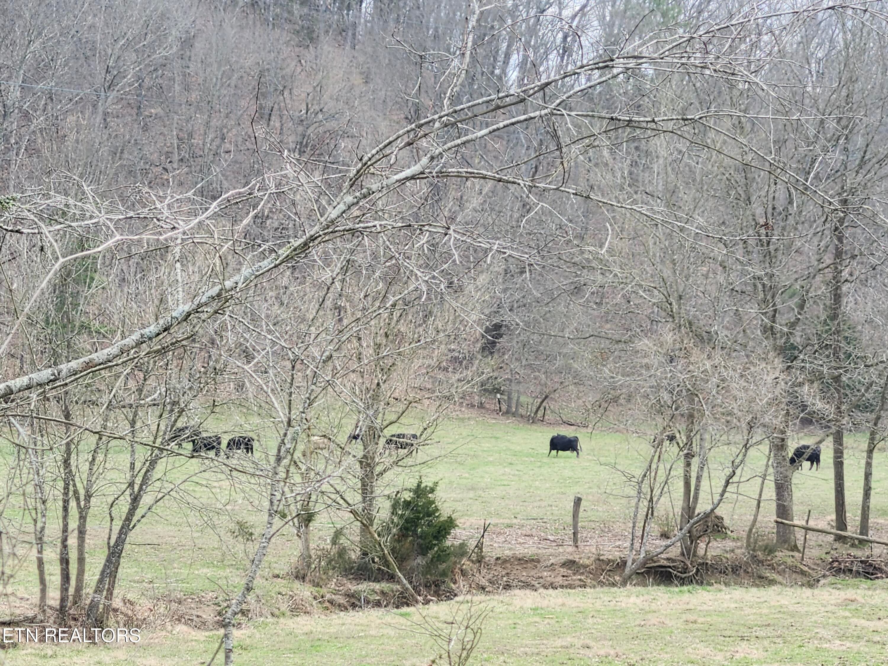 20260305_141151 - 4299 W Andrew Johnson Hwy, Greeneville, TN 37745