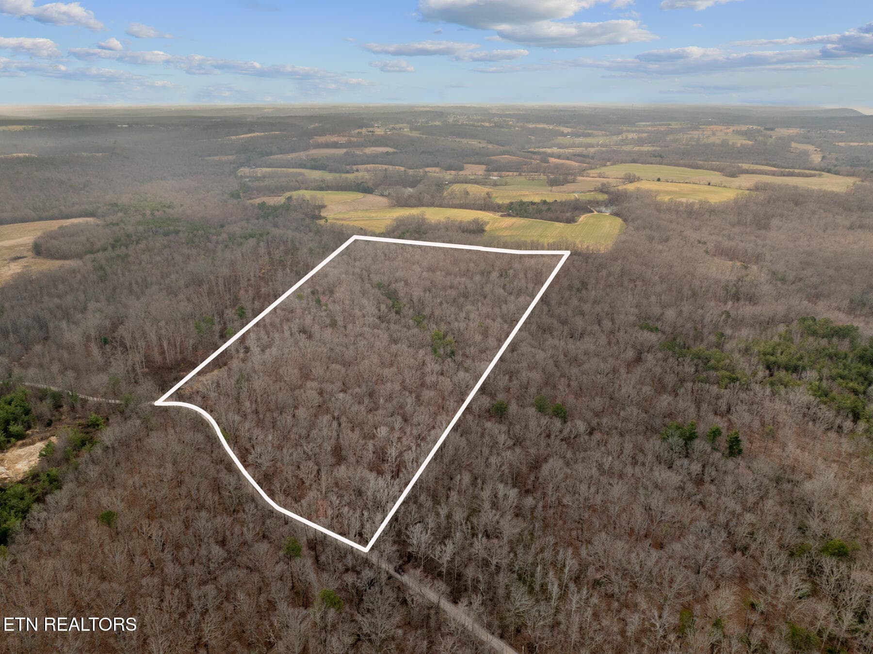 Pikeville TN 20 acres Lot Line (9) - 20 acres Barbee Cemetery Rd, Pikeville, TN 37367