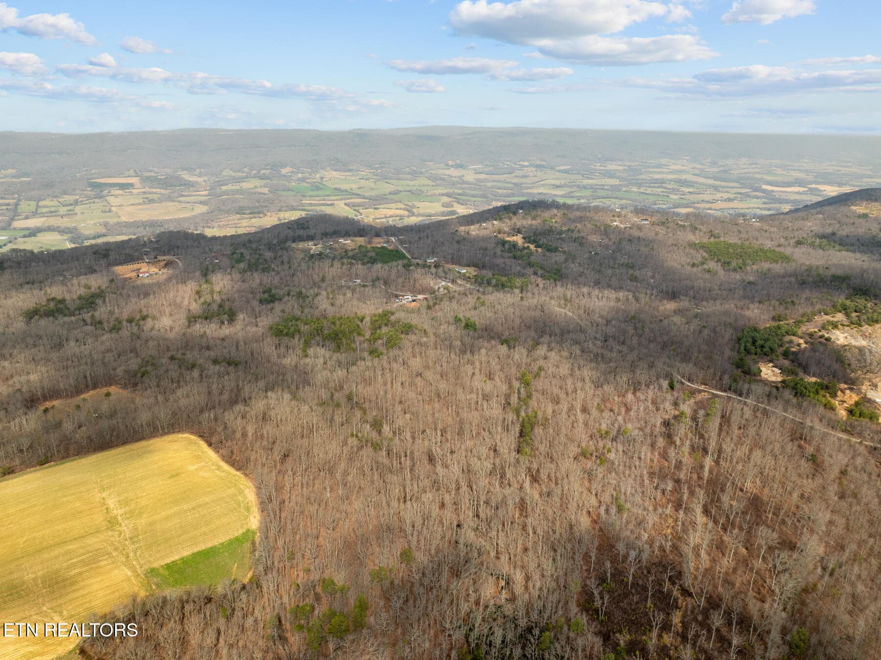 Pikeville TN 20 acres (7) - 20 acres Barbee Cemetery Rd, Pikeville, TN 37367