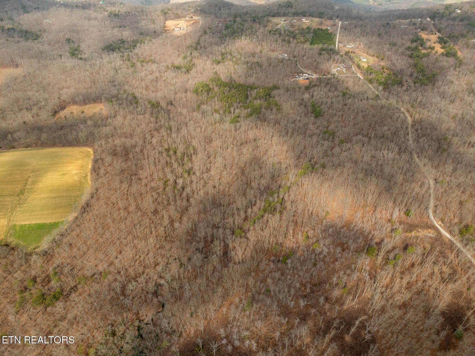 Pikeville TN 20 acres (8) - 20 acres Barbee Cemetery Rd, Pikeville, TN 37367