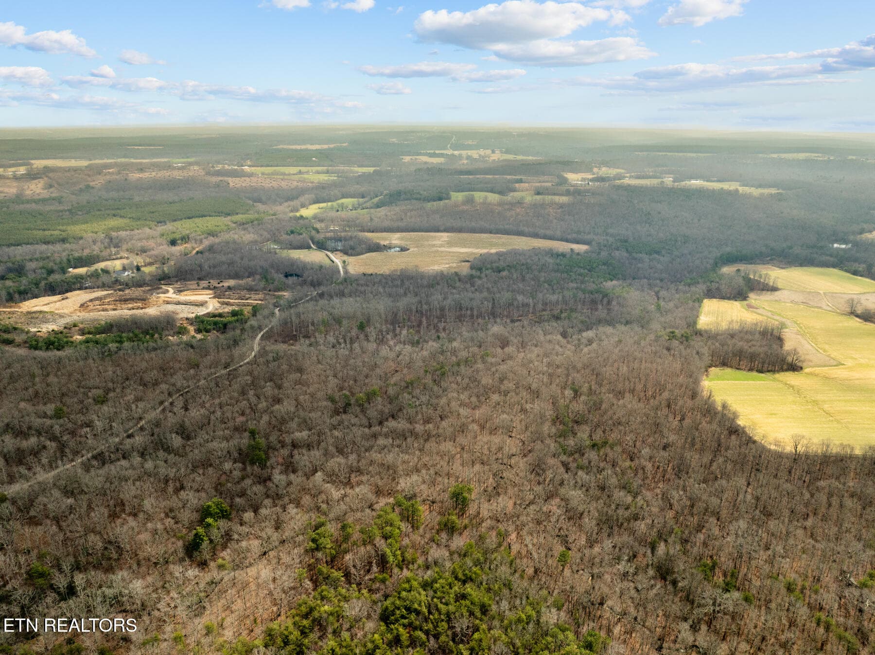 Pikeville TN 20 acres (13) - 20 acres Barbee Cemetery Rd, Pikeville, TN 37367