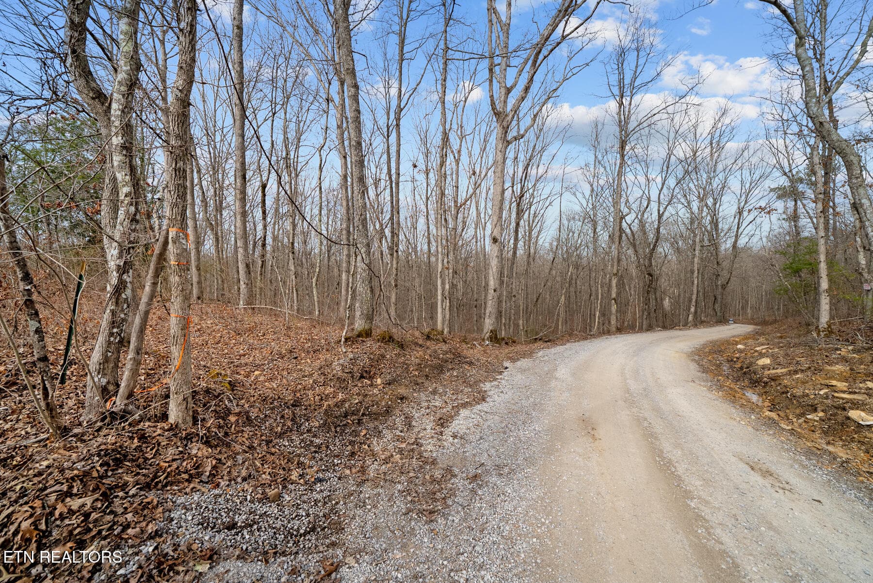 Pikeville TN 20 acres (15) - 20 acres Barbee Cemetery Rd, Pikeville, TN 37367