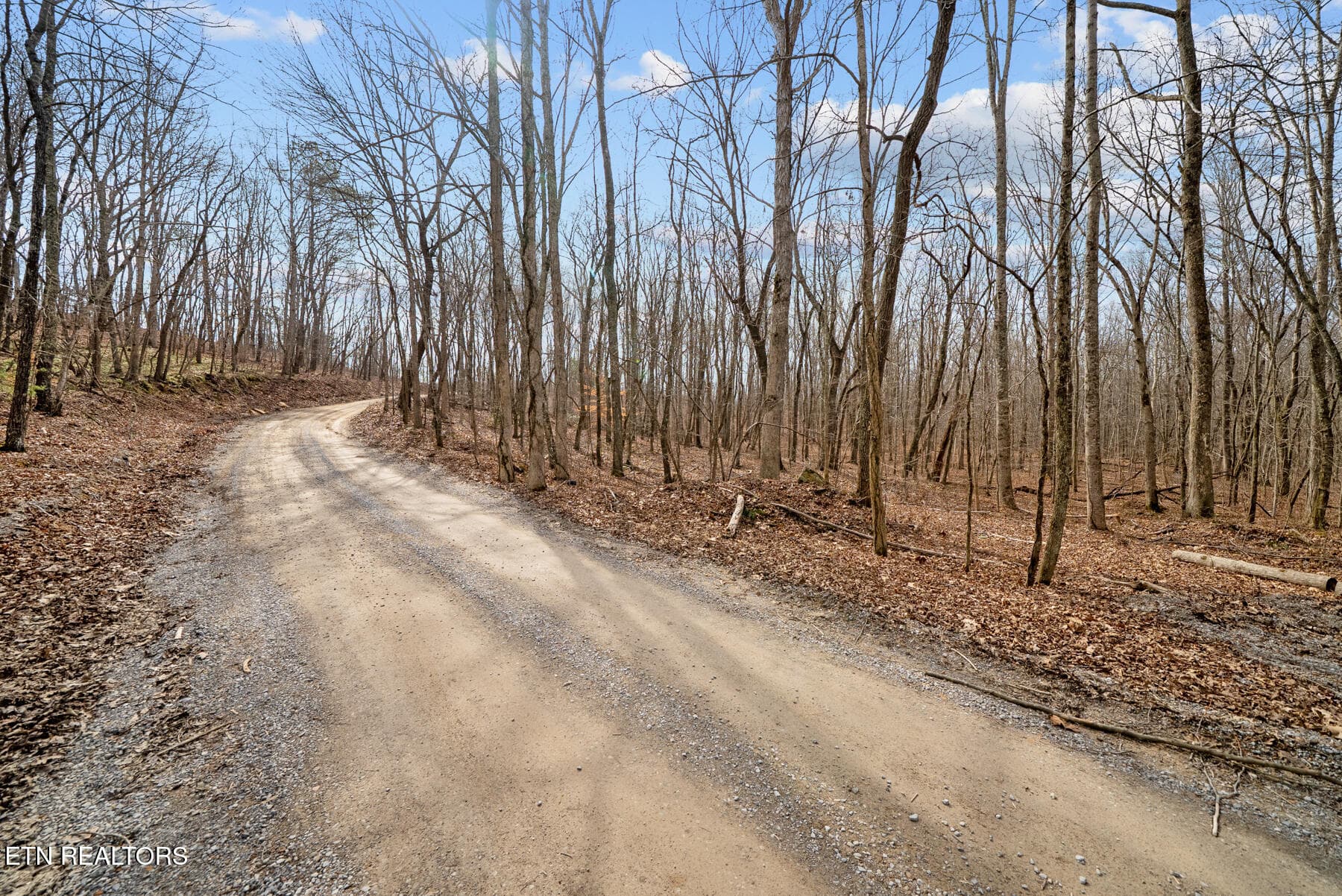 Pikeville TN 20 acres (17) - 20 acres Barbee Cemetery Rd, Pikeville, TN 37367