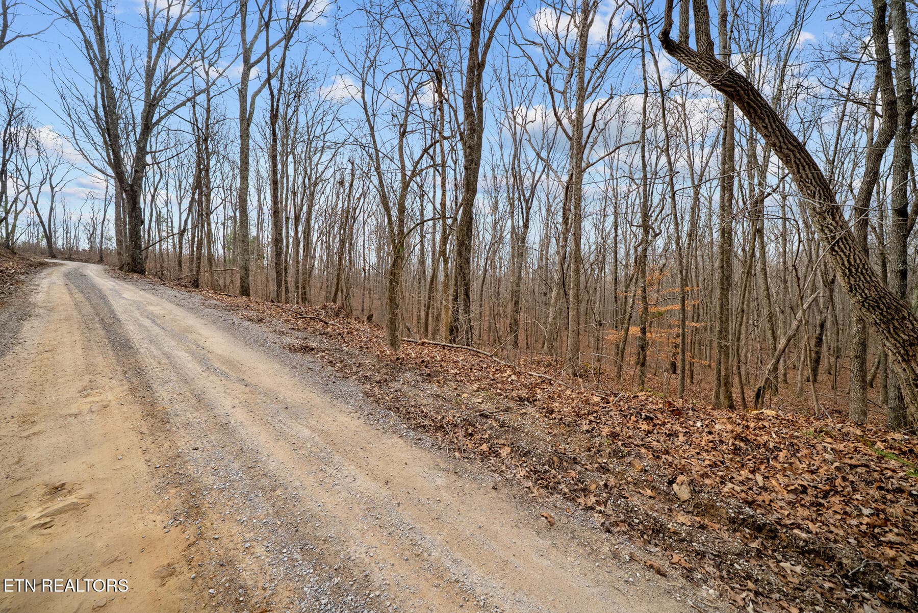 Pikeville TN 20 acres (18) - 20 acres Barbee Cemetery Rd, Pikeville, TN 37367