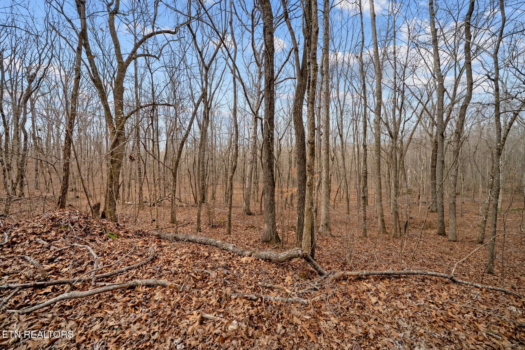 Pikeville TN 20 acres (19) - 20 acres Barbee Cemetery Rd, Pikeville, TN 37367