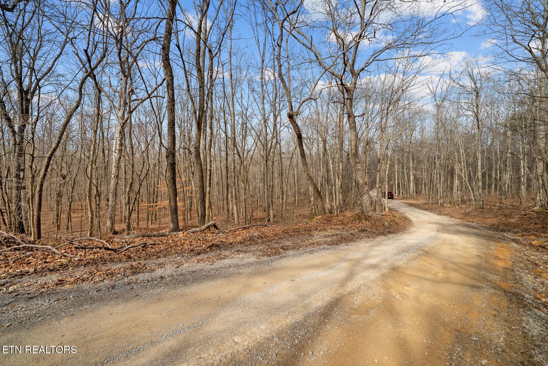 Pikeville TN 20 acres (20) - 20 acres Barbee Cemetery Rd, Pikeville, TN 37367
