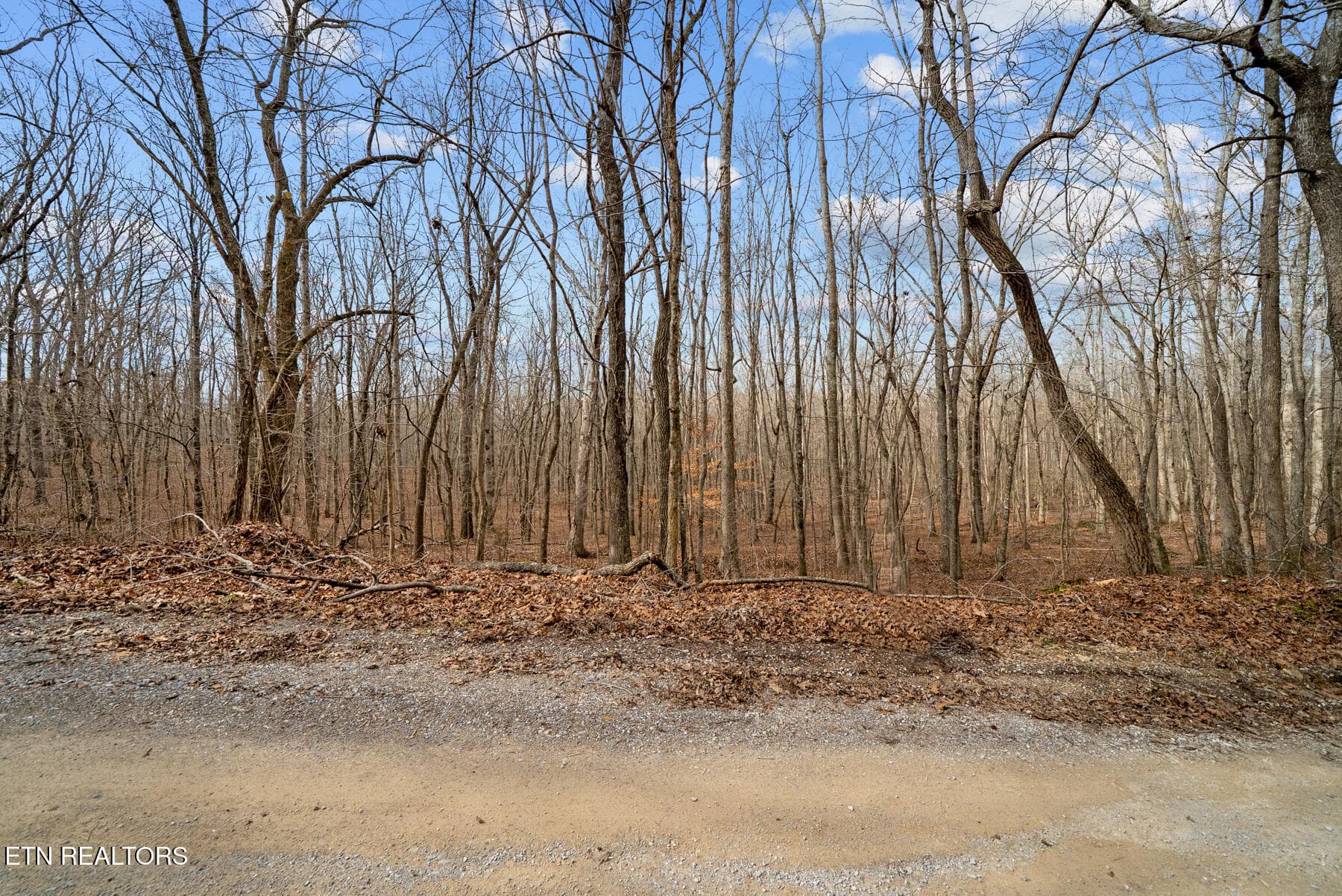 Pikeville TN 20 acres (21) - 20 acres Barbee Cemetery Rd, Pikeville, TN 37367