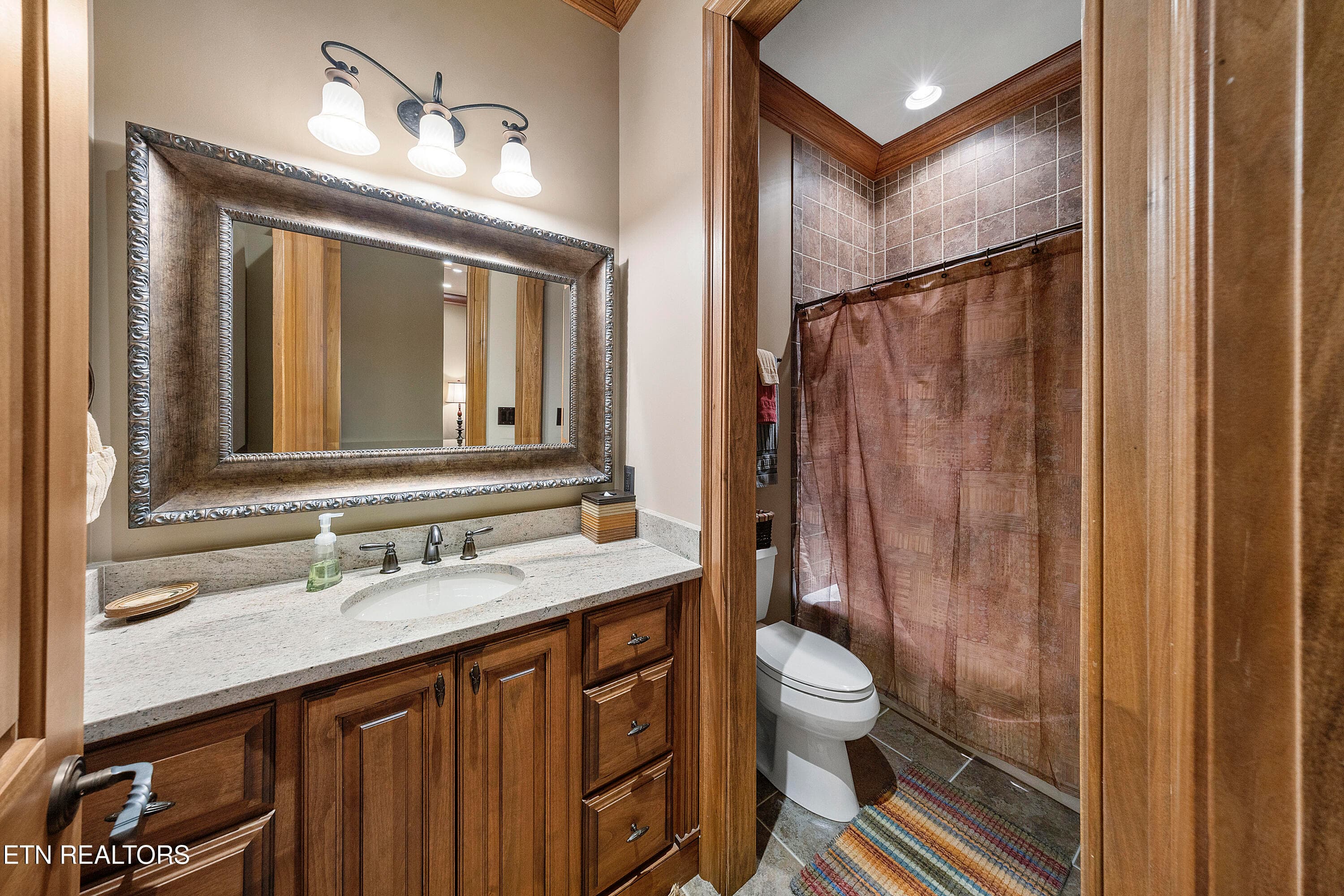 P2_L40A1442 - 468 Careen Court, Lenoir City, TN 37772, Lenoir City