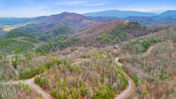 12 - 514 Percussion Court, Walland, TN 37886