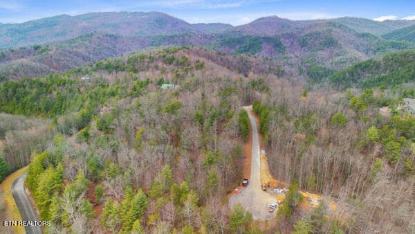 8 - 514 Percussion Court, Walland, TN 37886