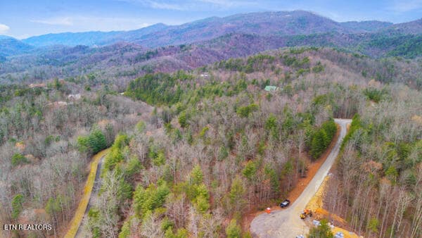 9 - 514 Percussion Court, Walland, TN 37886