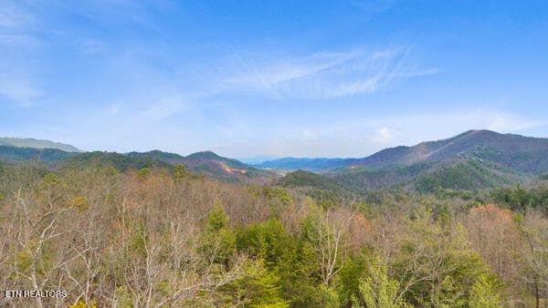 14 - 514 Percussion Court, Walland, TN 37886