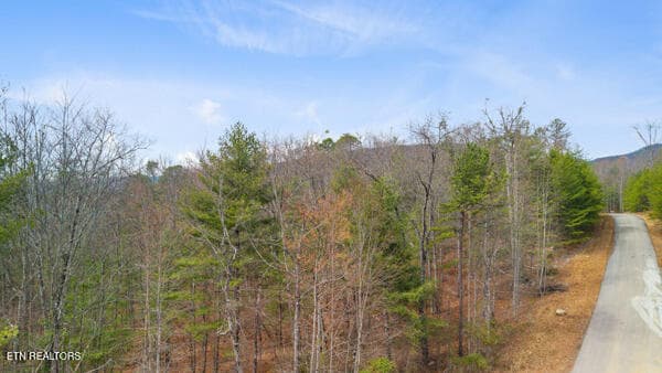 6 - 514 Percussion Court, Walland, TN 37886