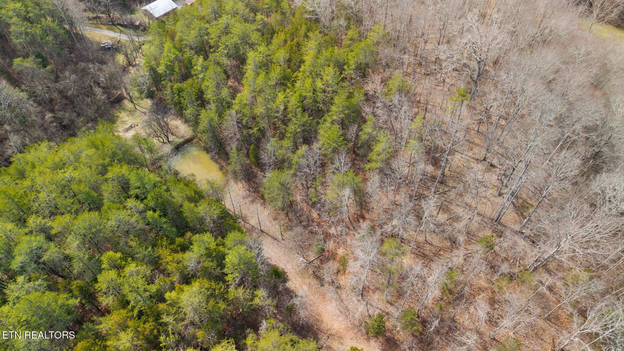 dji_20260304122056_0347_d - Sugar Loaf Rd, Sevierville, TN 37876, Sevierville